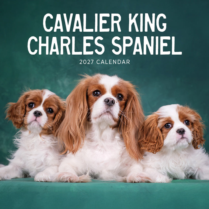 2027 Cavalier King Charles Spaniels - Square Wall Calendar