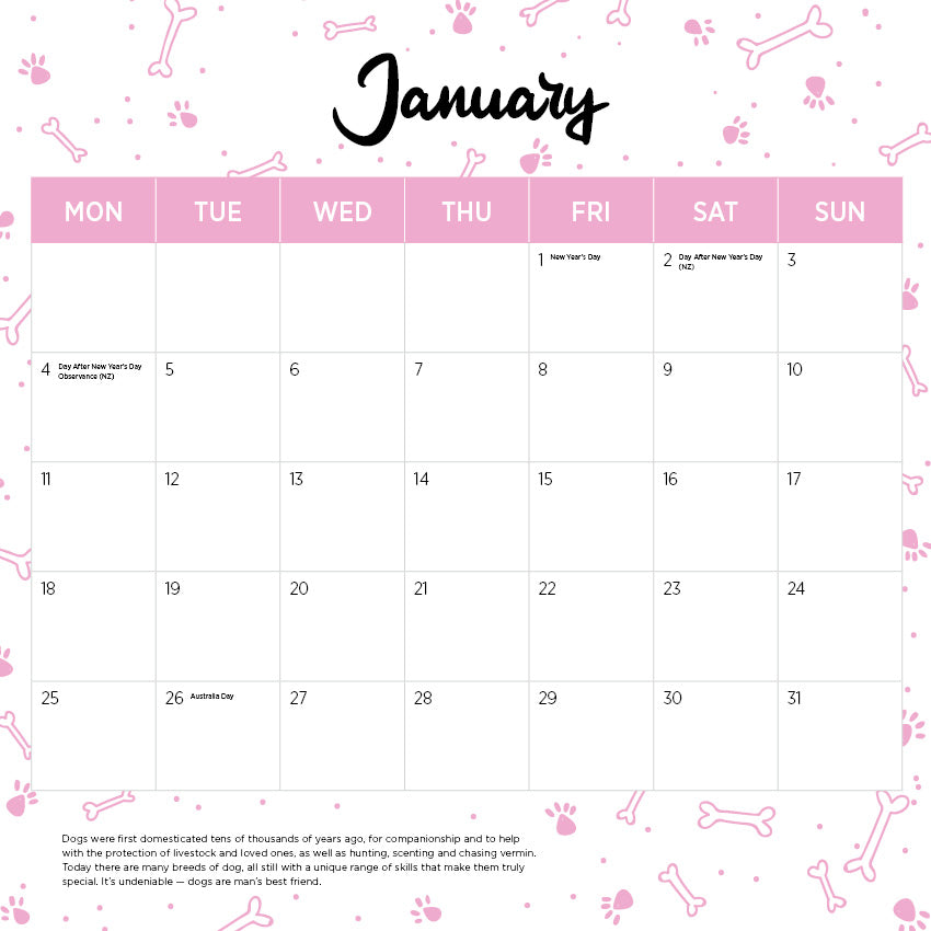 2027 Cavoodle   - Square Wall Calendar