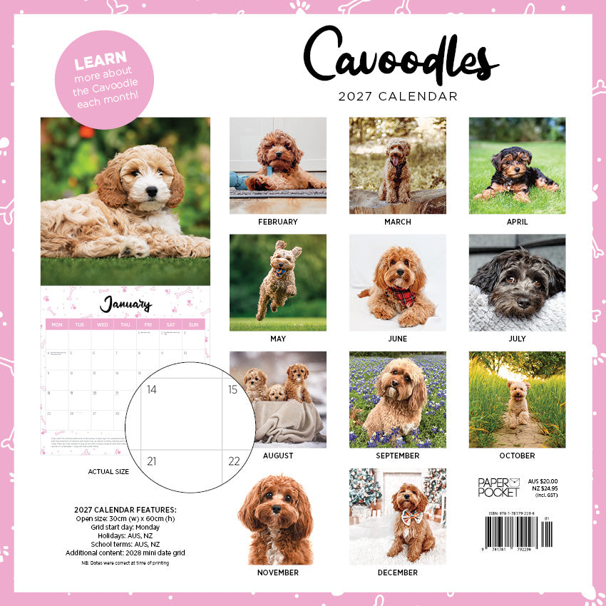 2027 Cavoodle   - Square Wall Calendar