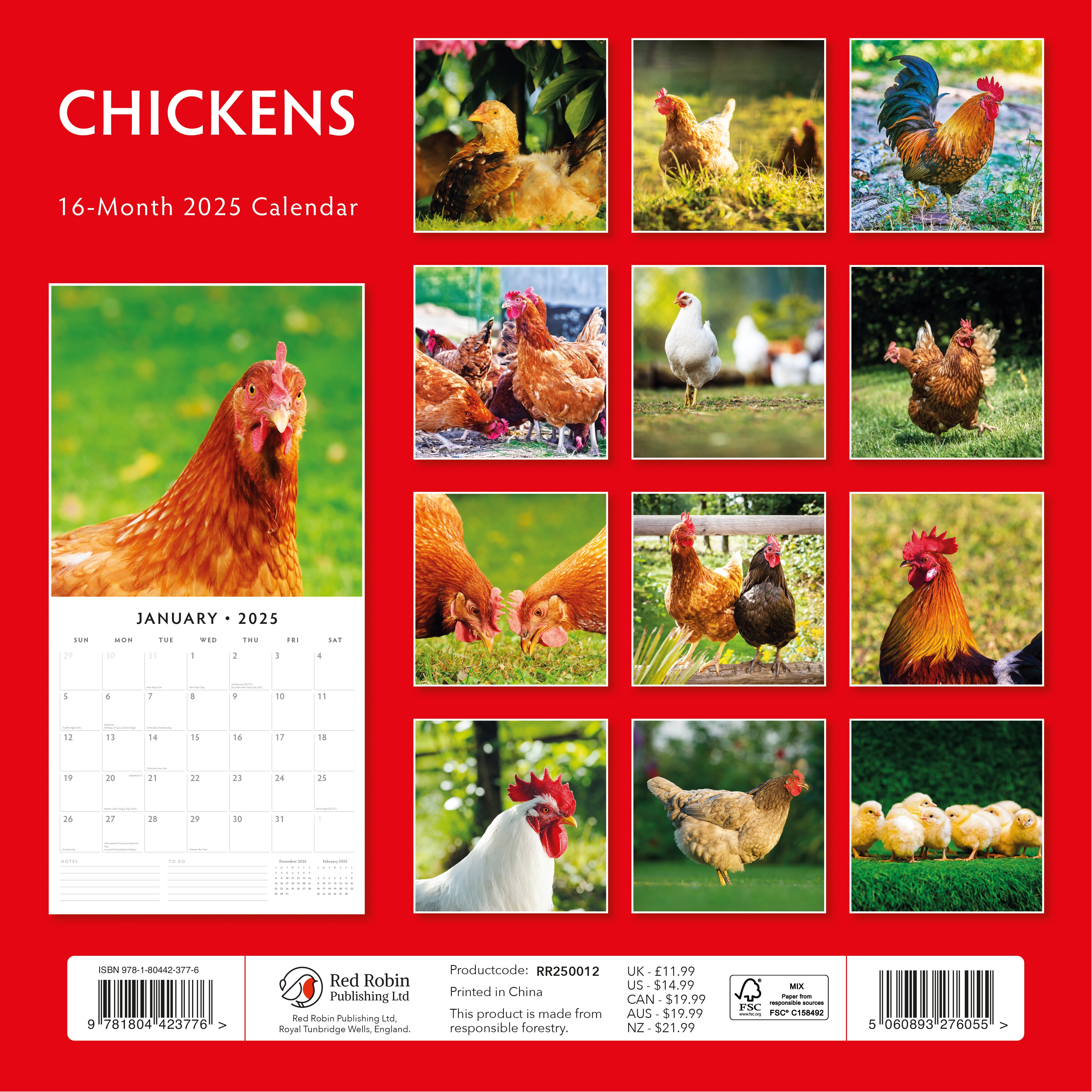 2025 Chickens - Square Wall Calendar