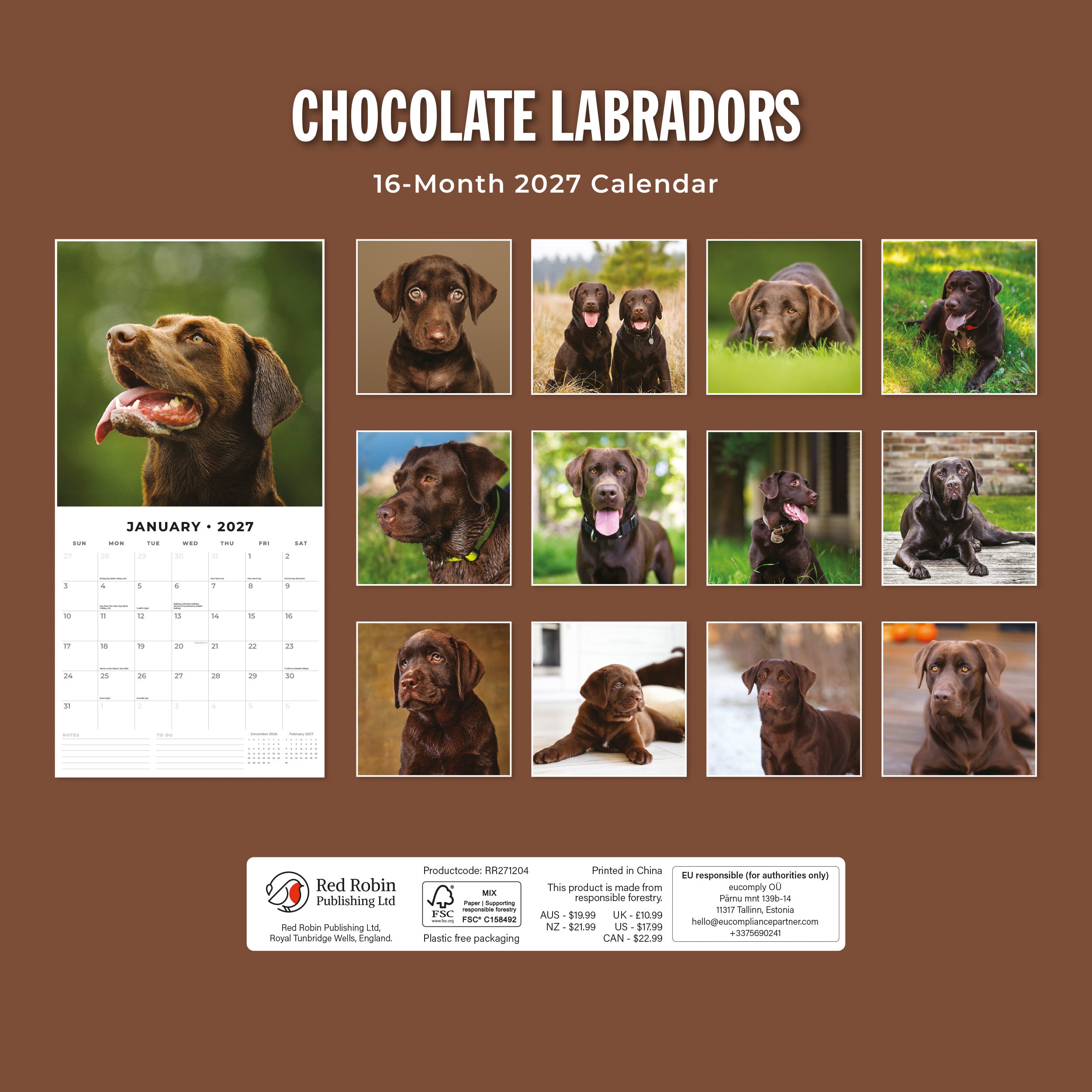 2027 Chocolate Labradors - Square Wall Calendar