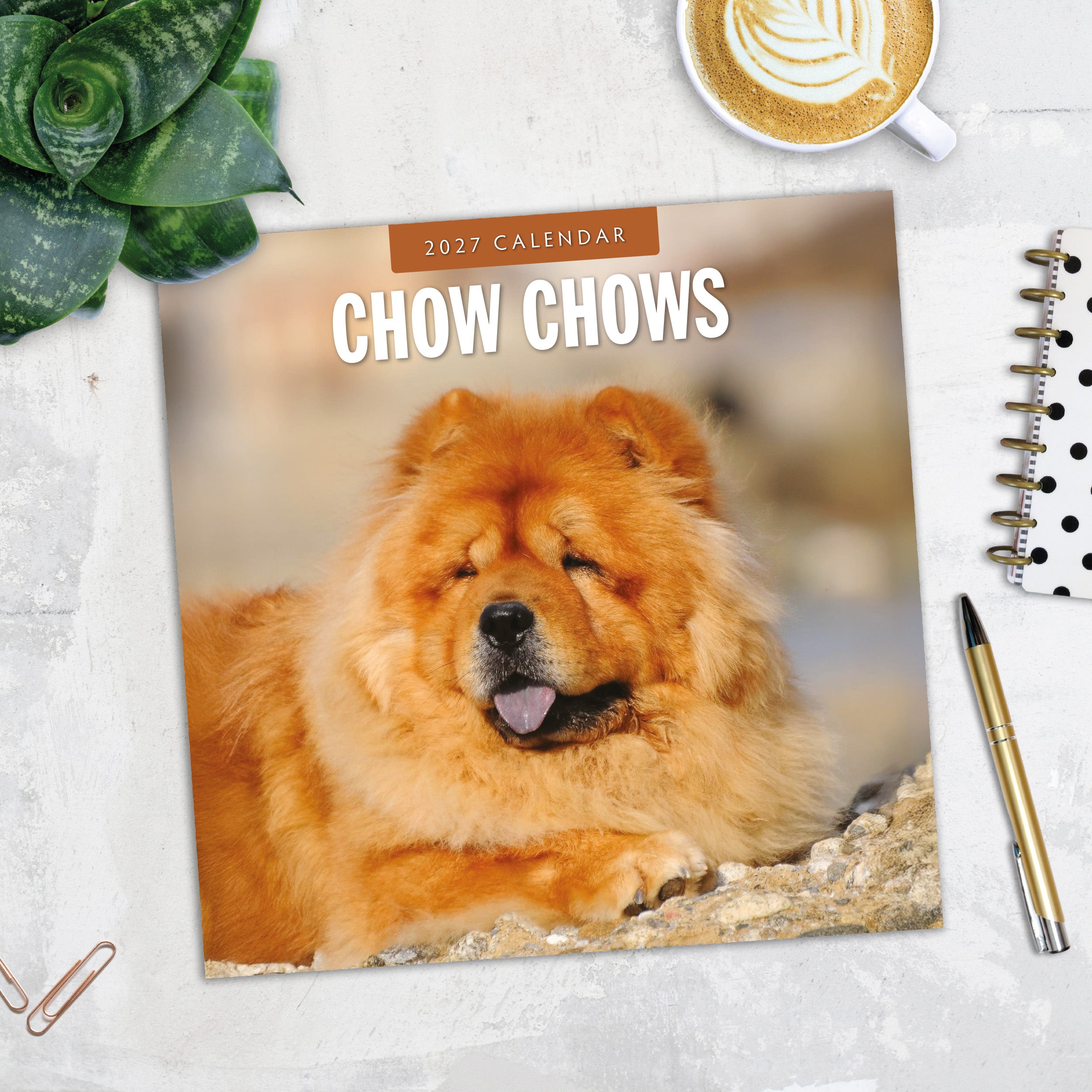 2027 Chow Chows - Square Wall Calendar