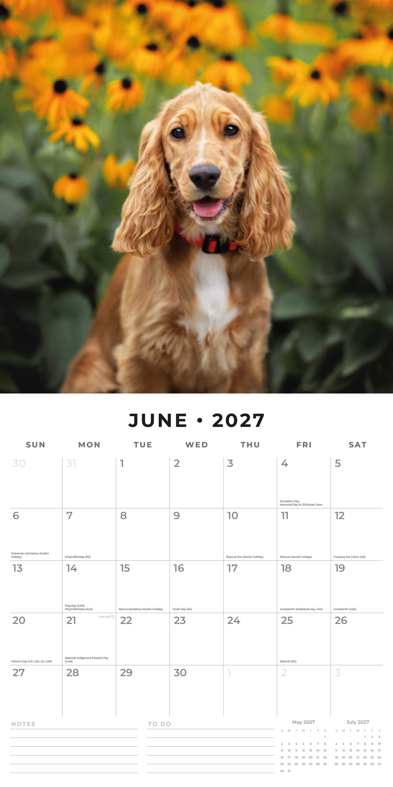 2027 Cocker Spaniels - Square Wall Calendar