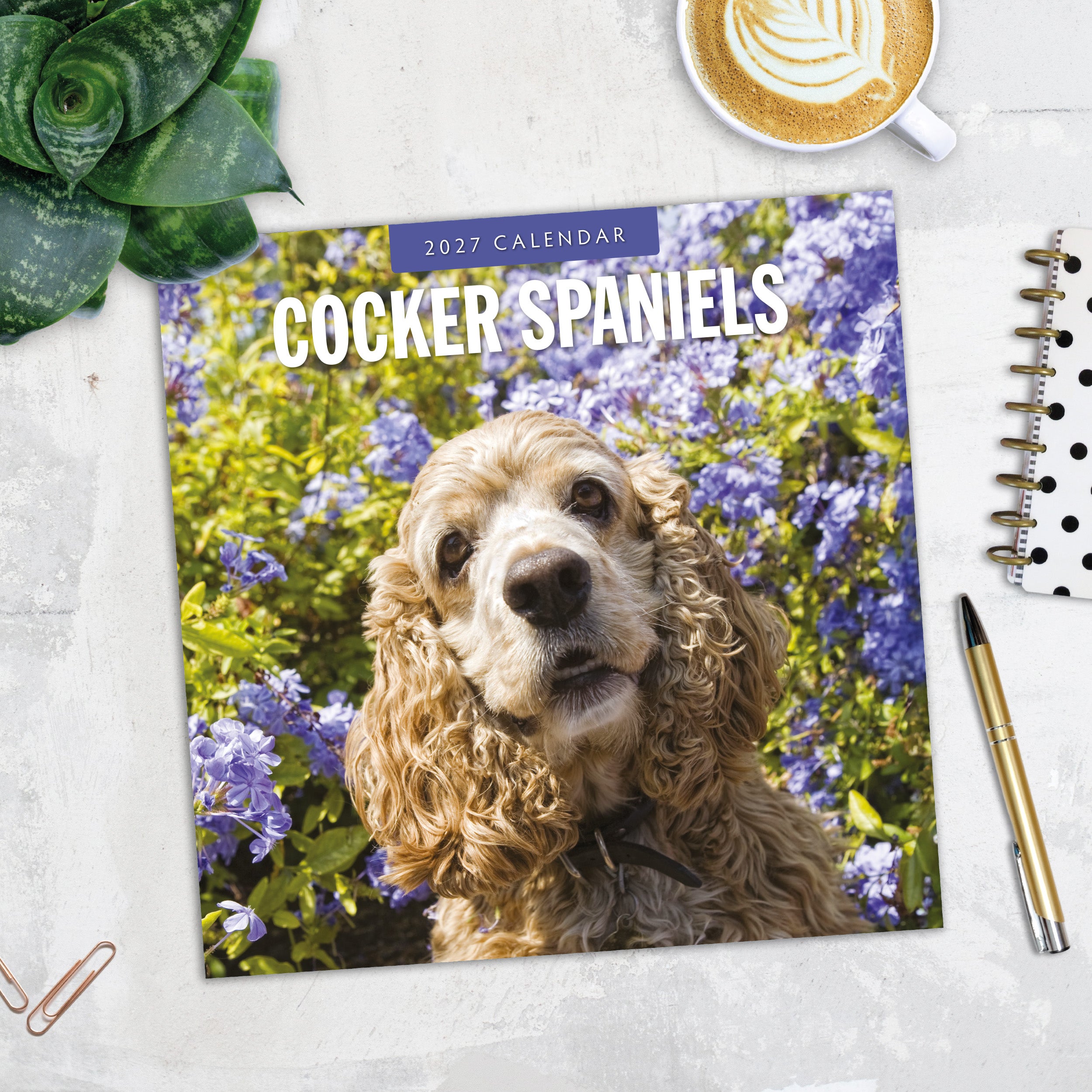 2027 Cocker Spaniels - Square Wall Calendar