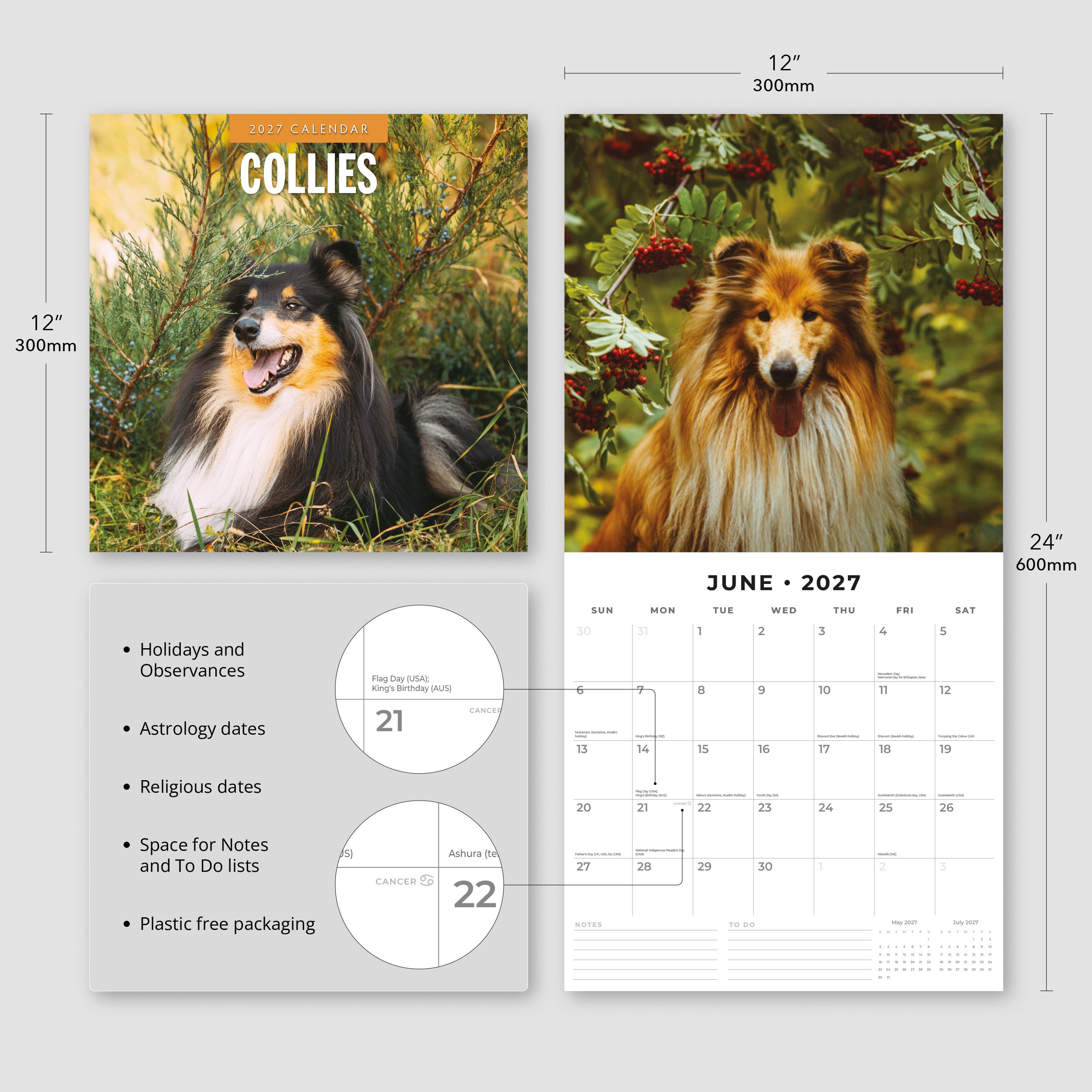 2027 Collies - Square Wall Calendar