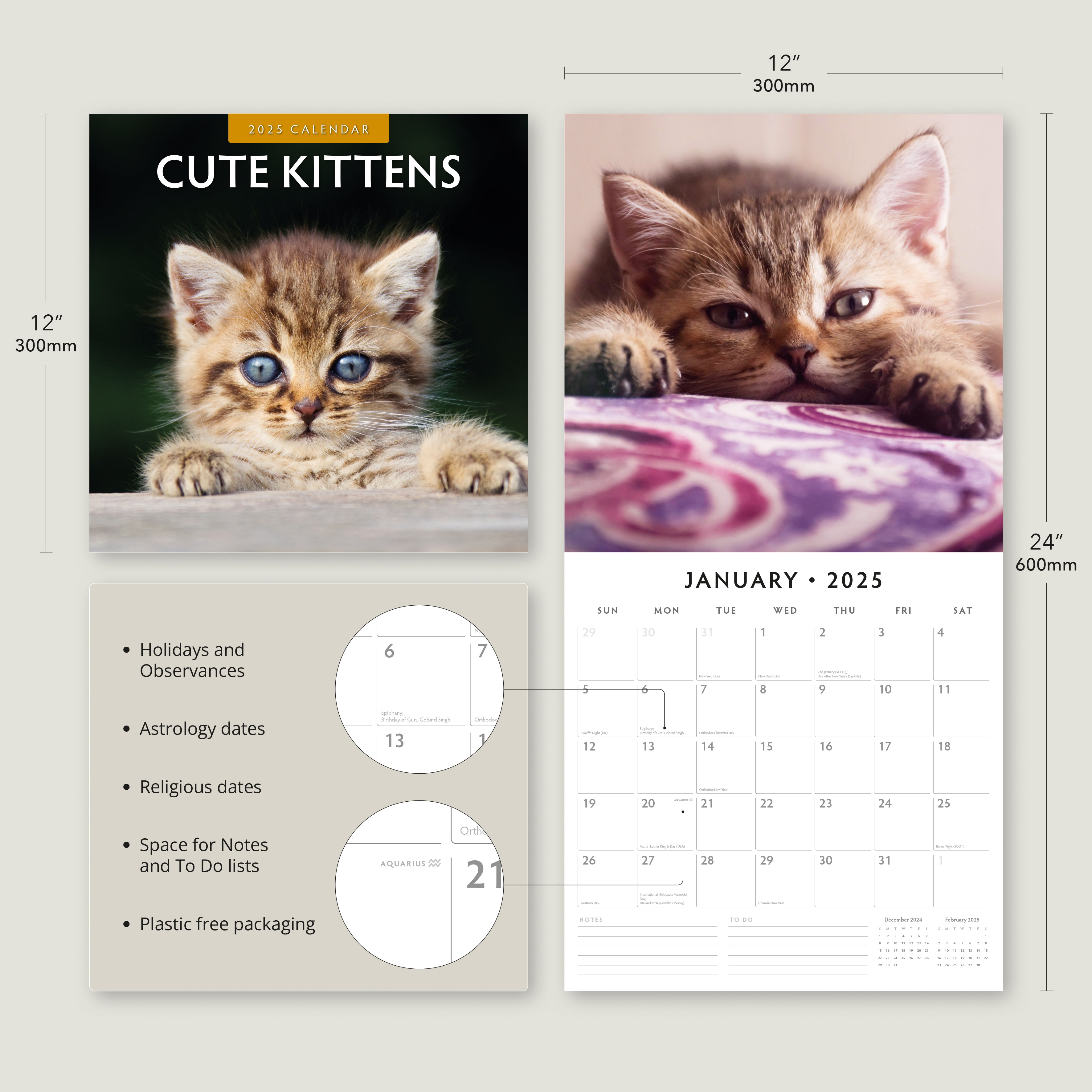 2025 Cute Kittens - Square Wall Calendar