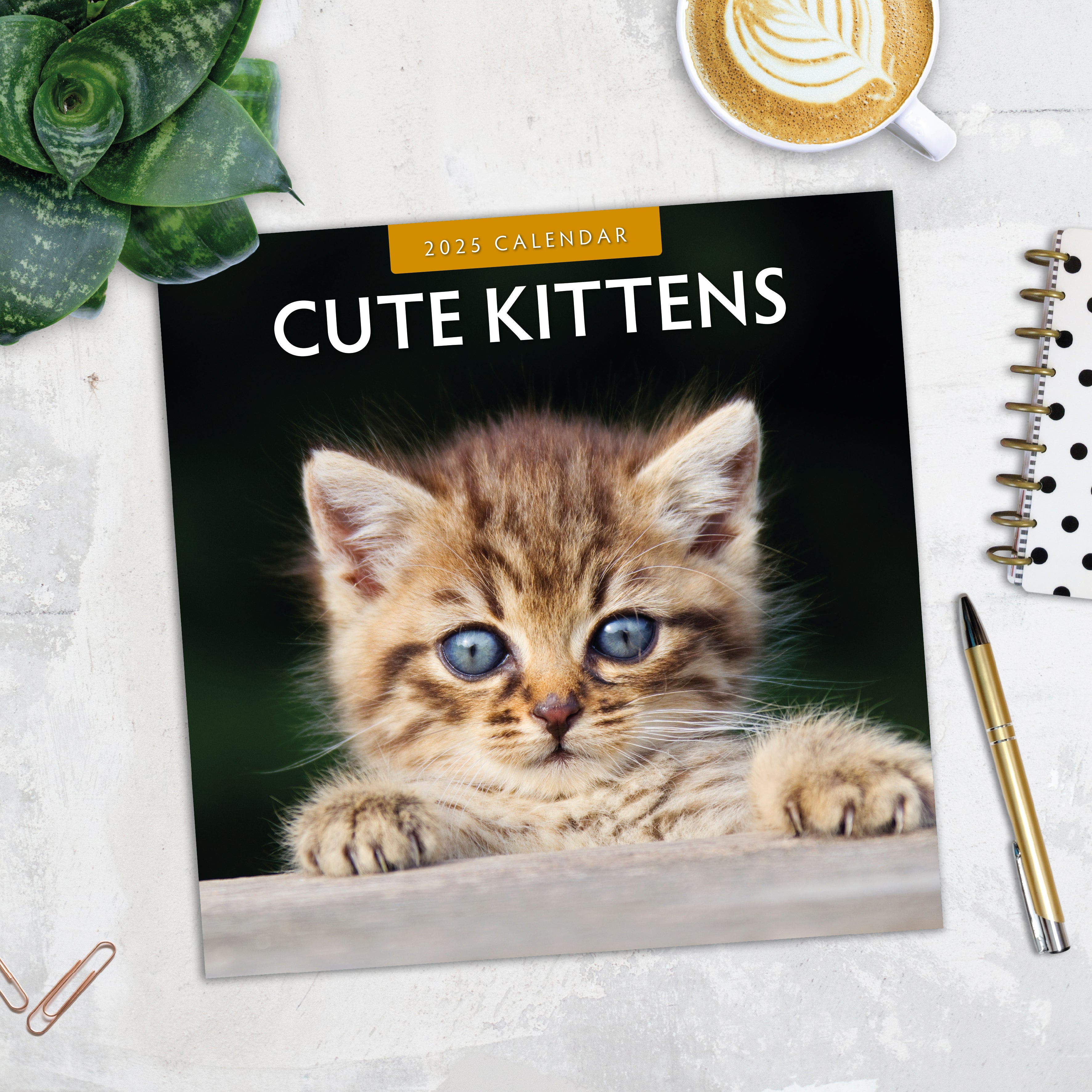 2025 Cute Kittens - Square Wall Calendar