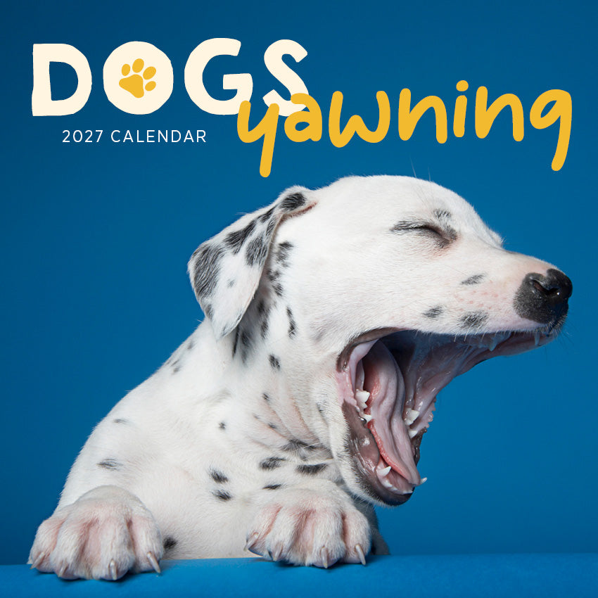 2027 Dogs Yawning  - Square Wall Calendar