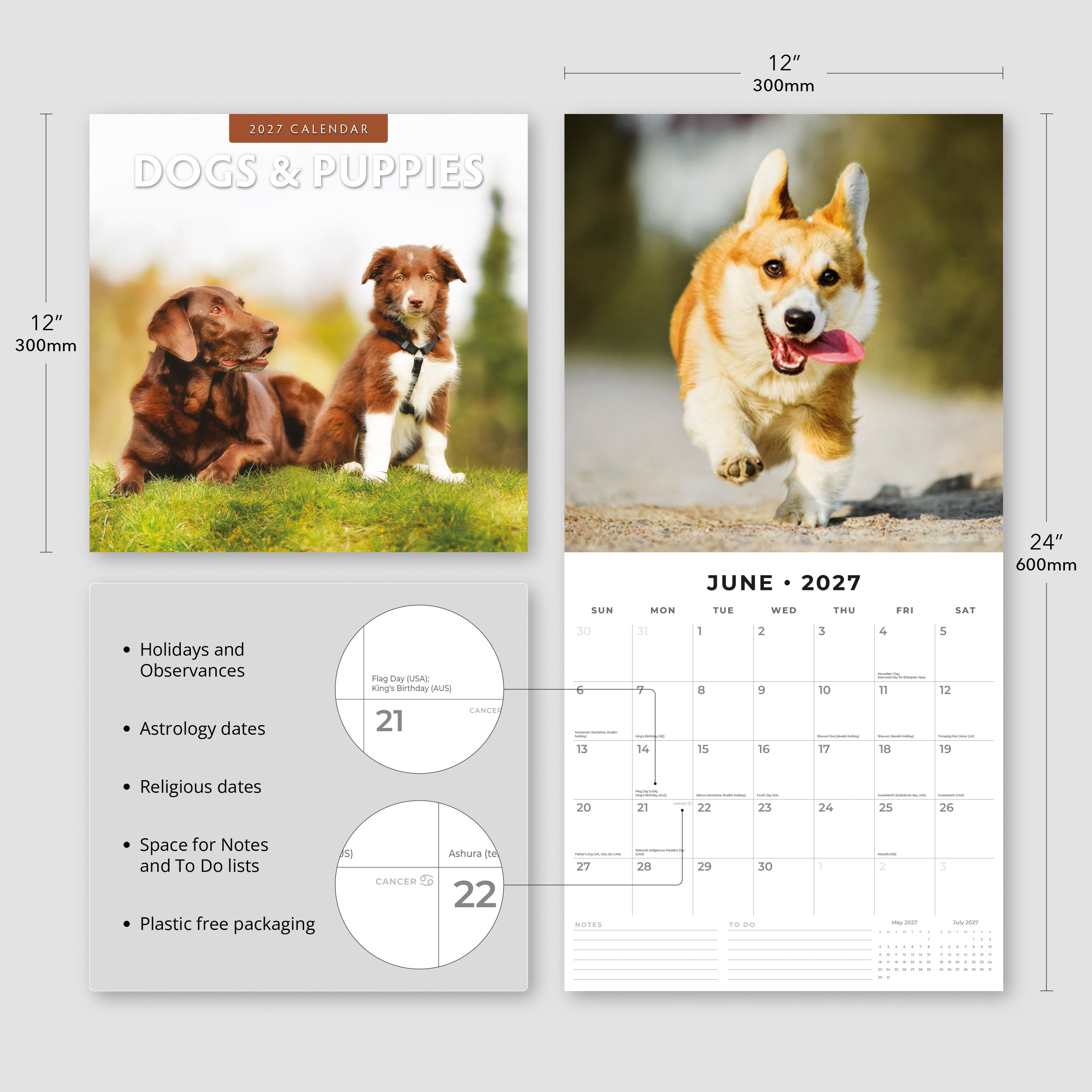 2027 Dogs & Puppies - Square Wall Calendar