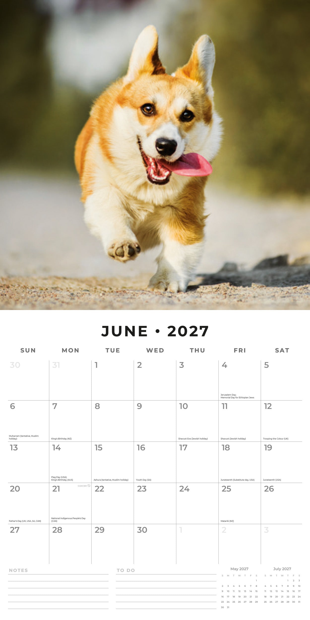 2027 Dogs & Puppies - Square Wall Calendar