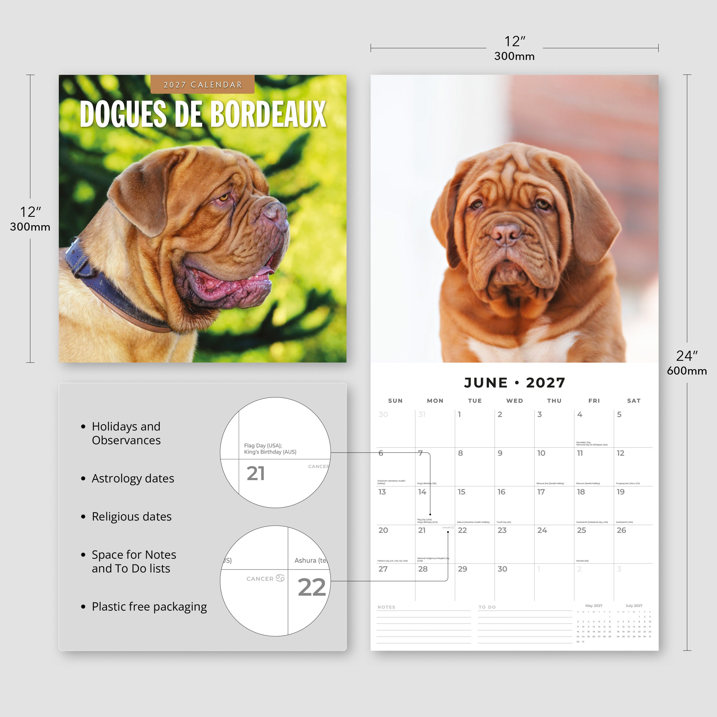 2027 Dogues de Bordeaux - Square Wall Calendar