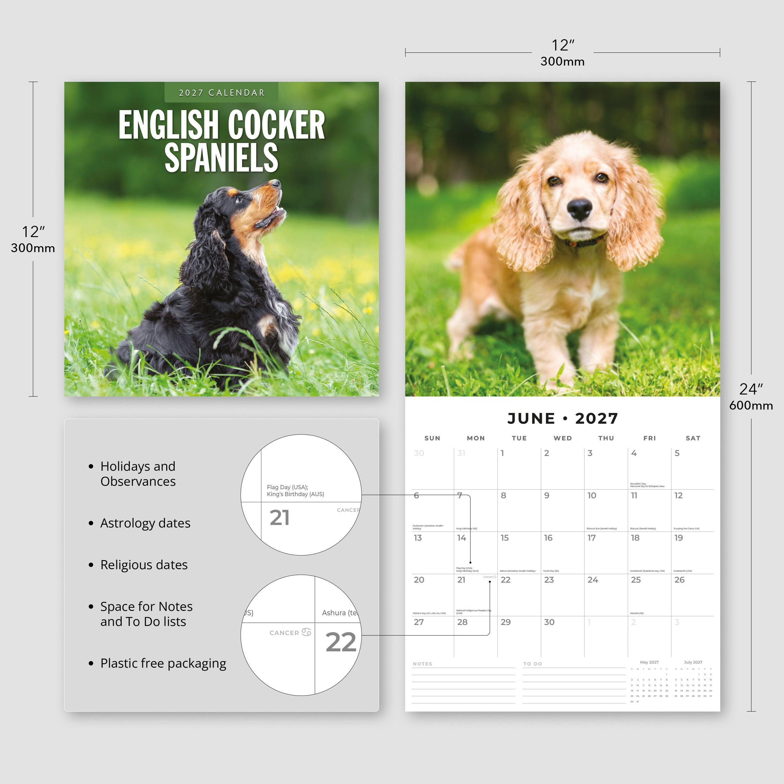 2027 English Cocker Spaniels - Square Wall Calendar