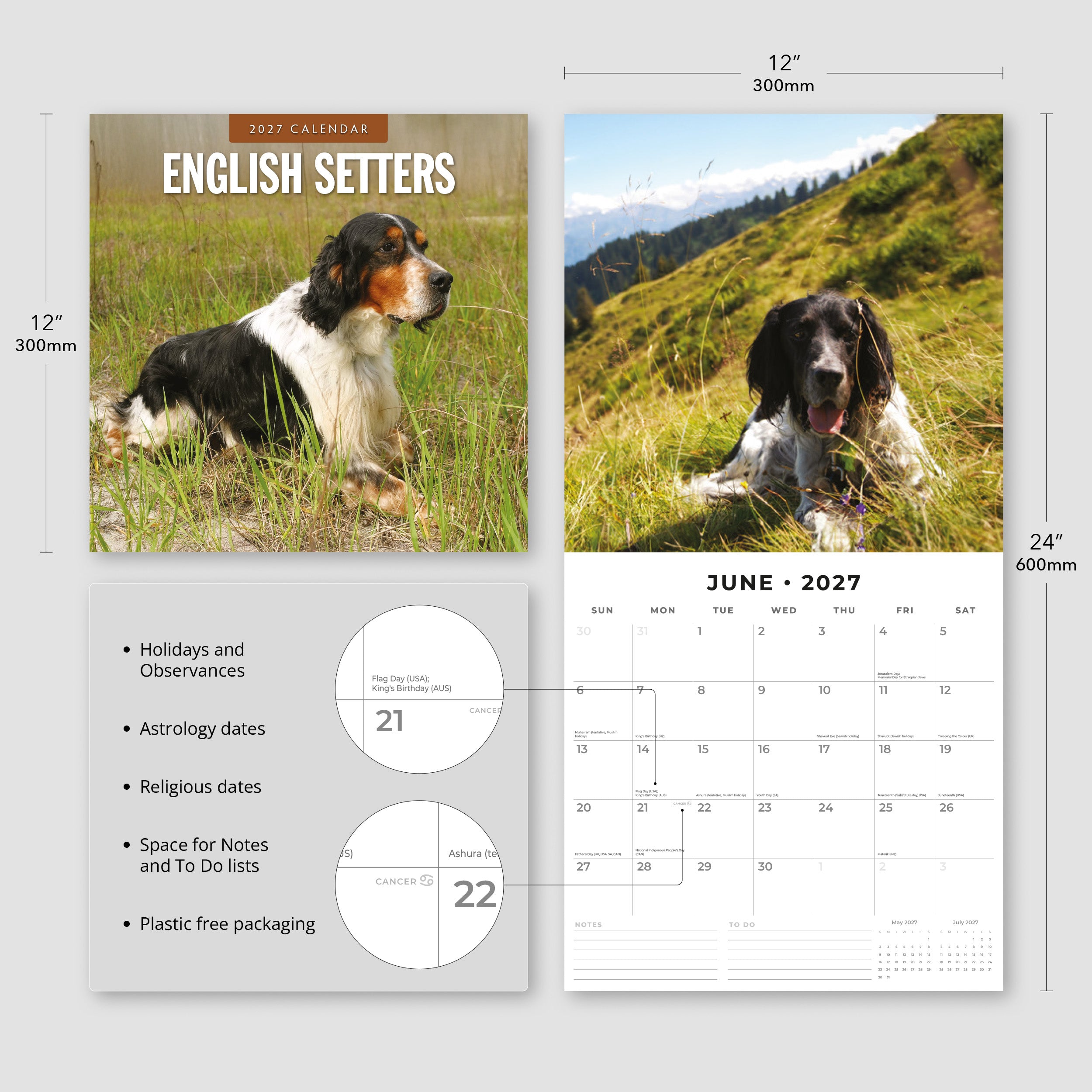 2027 English Setters - Square Wall Calendar