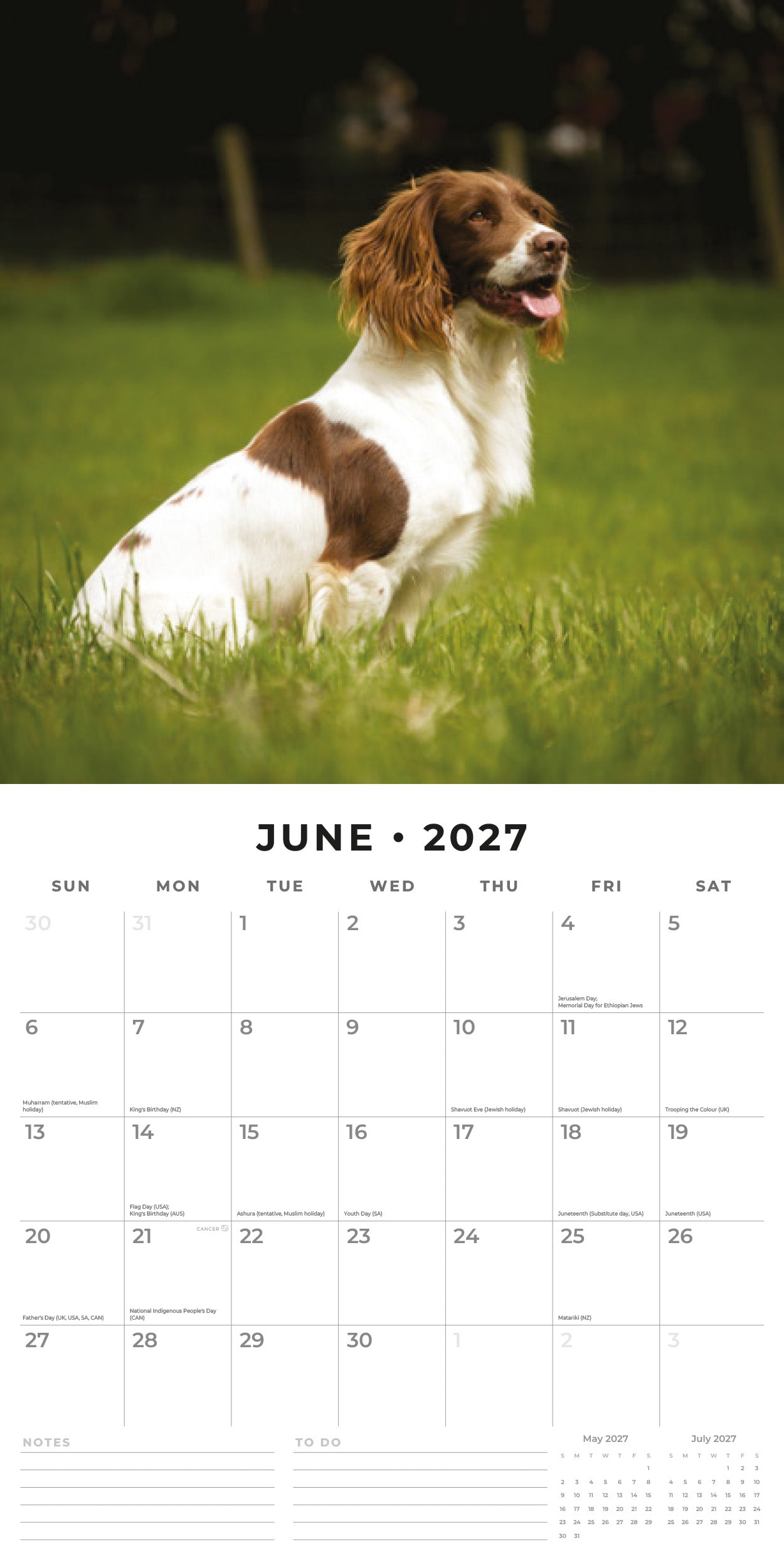 2027 English Springer Spaniels - Square Wall Calendar