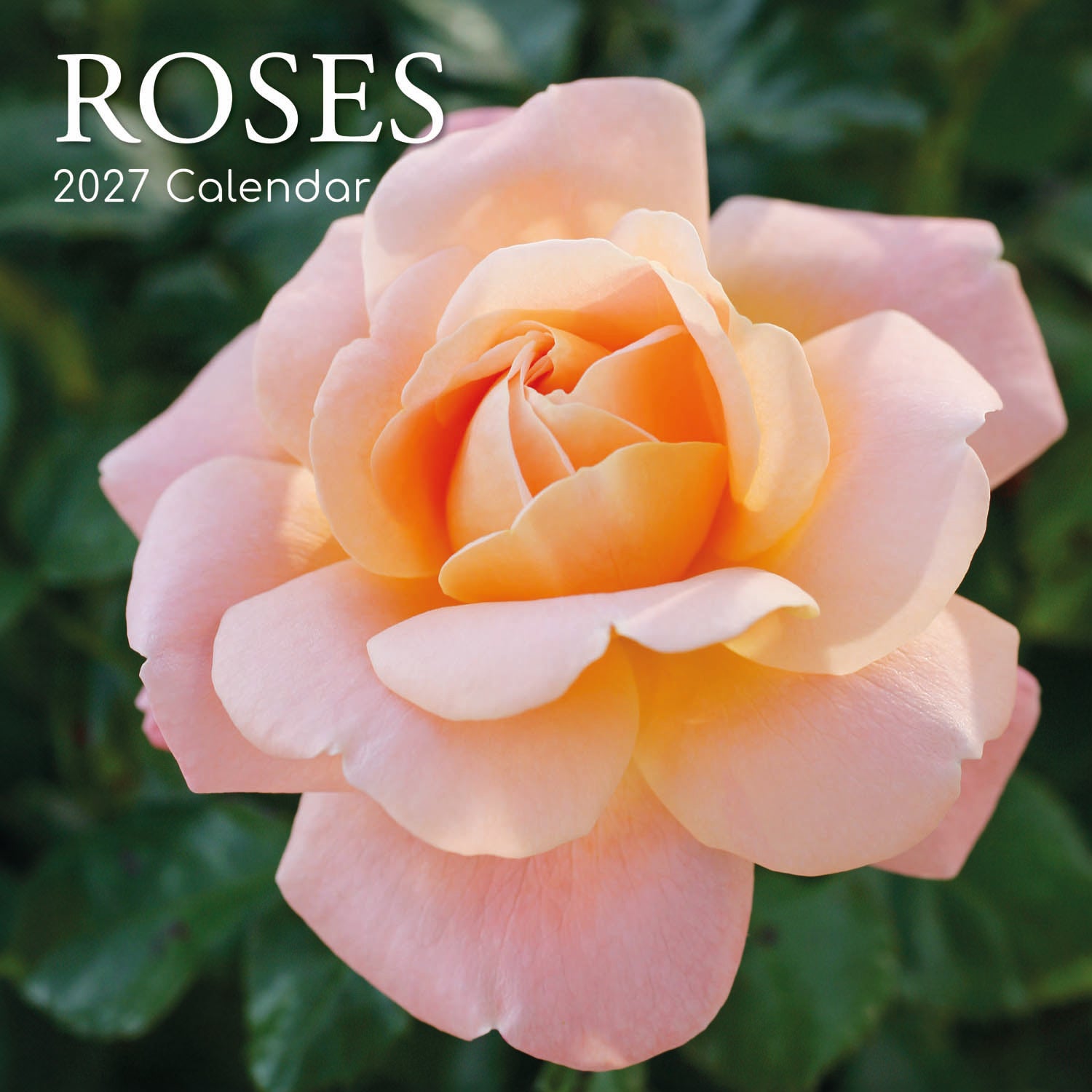 Floral_Roses_2027_Cover.jpg