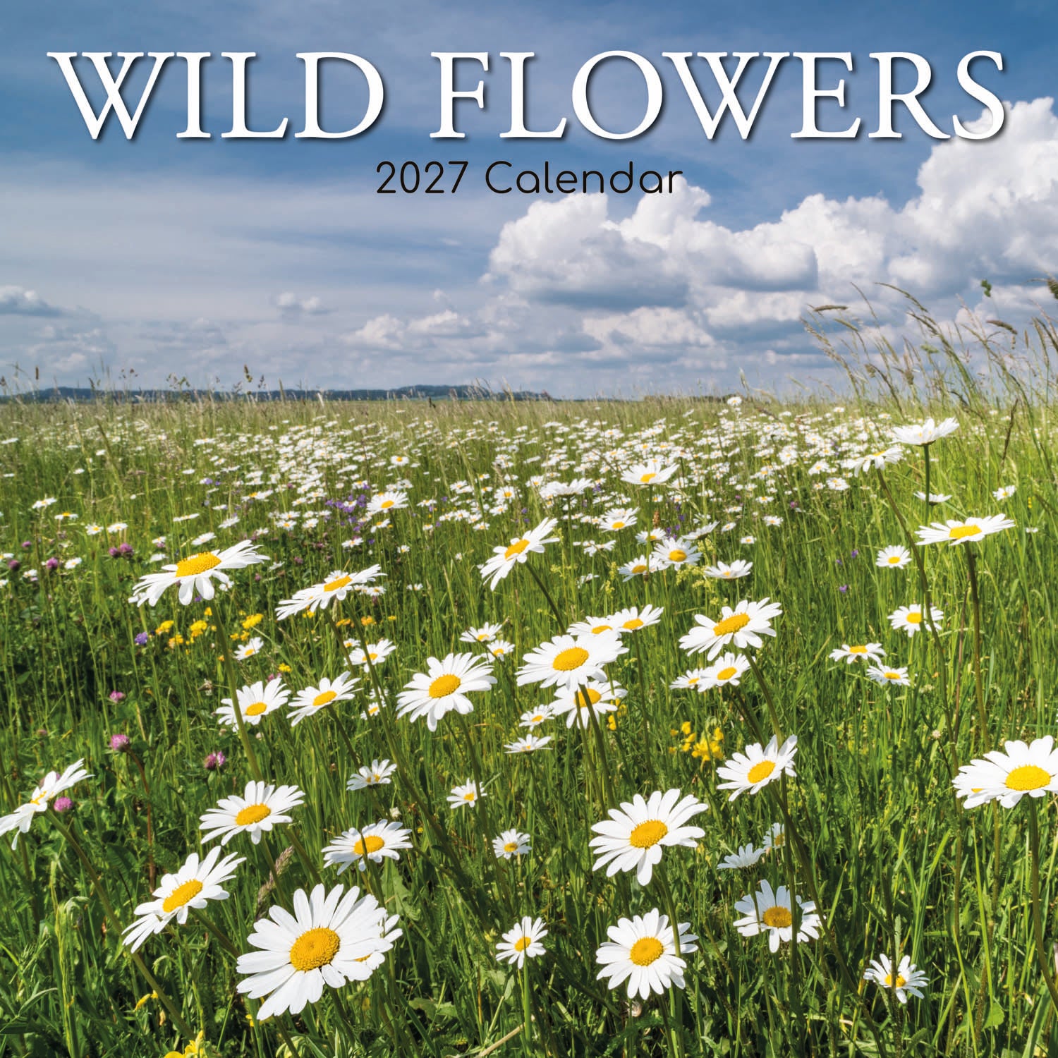 Floral_Wild_Flowers_2027_Cover.jpg