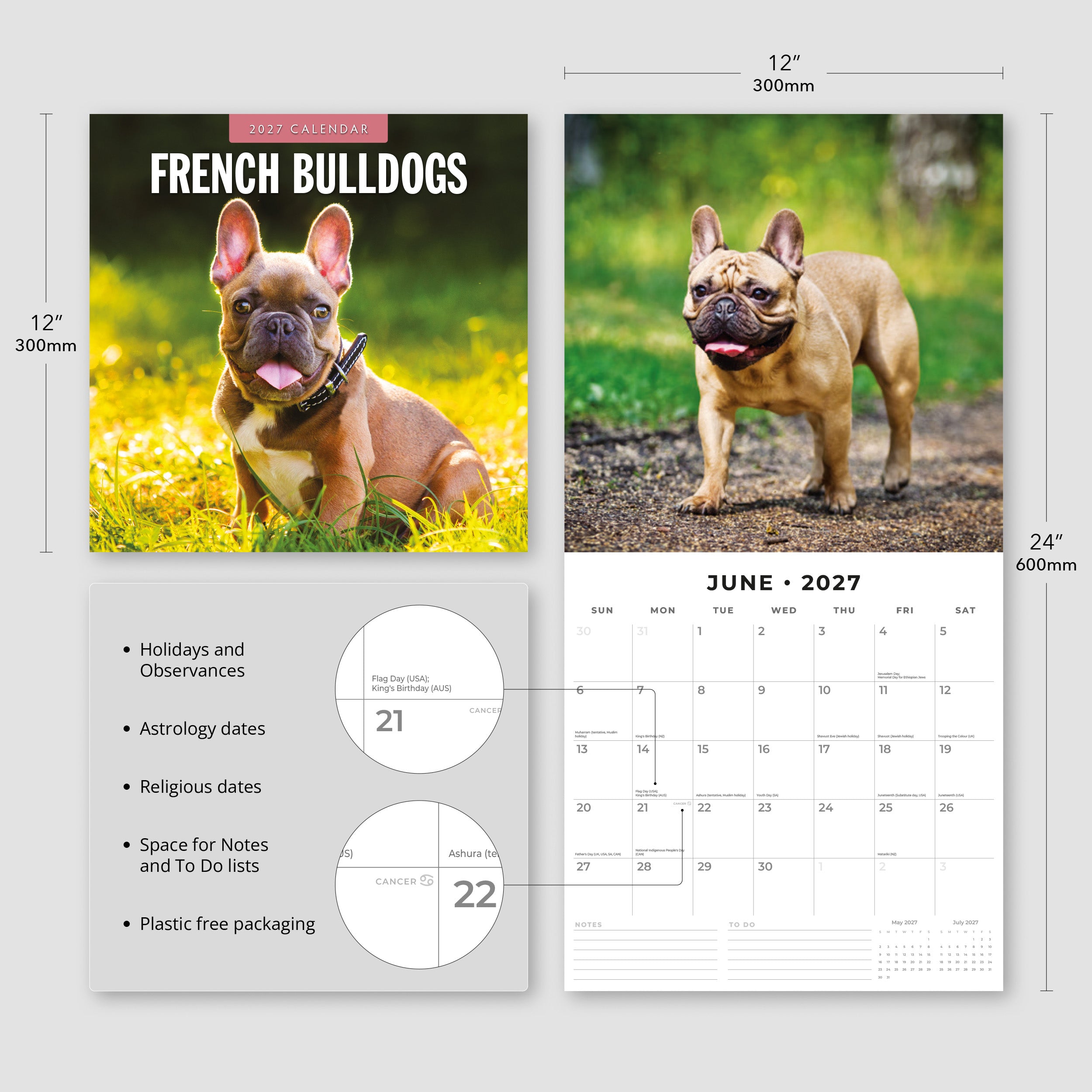 2027 French Bulldogs - Square Wall Calendar