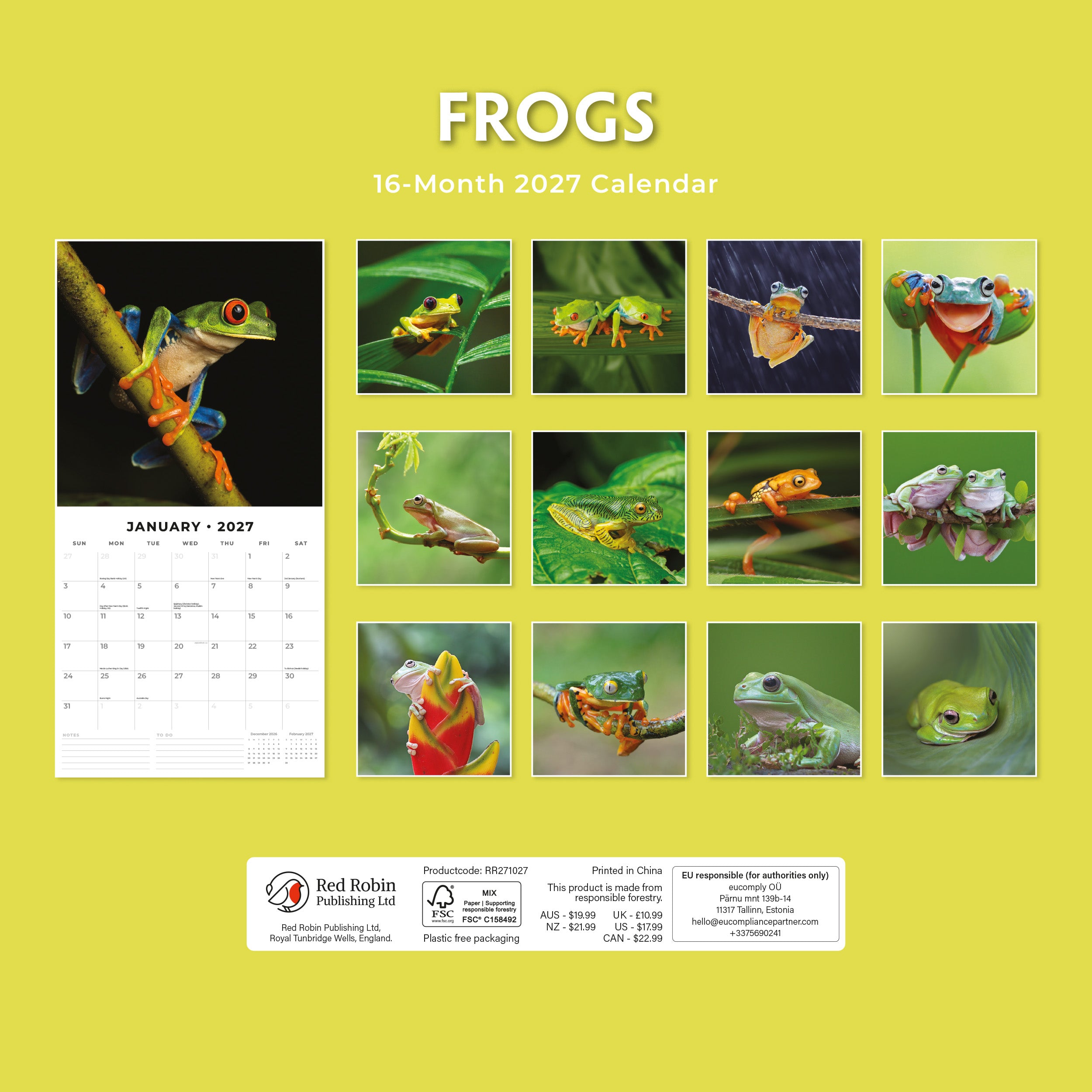 2027 Frogs - Square Wall Calendar