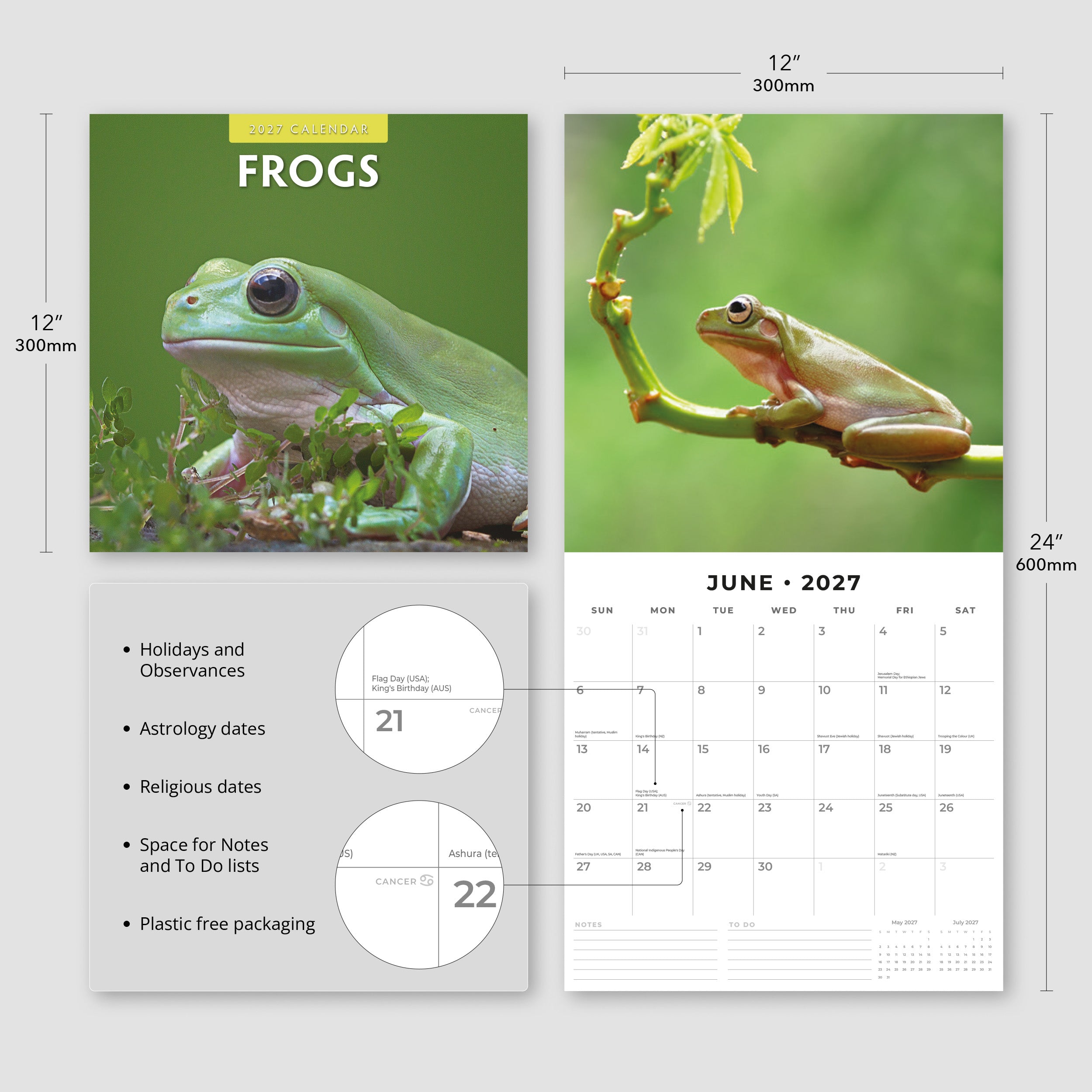 2027 Frogs - Square Wall Calendar