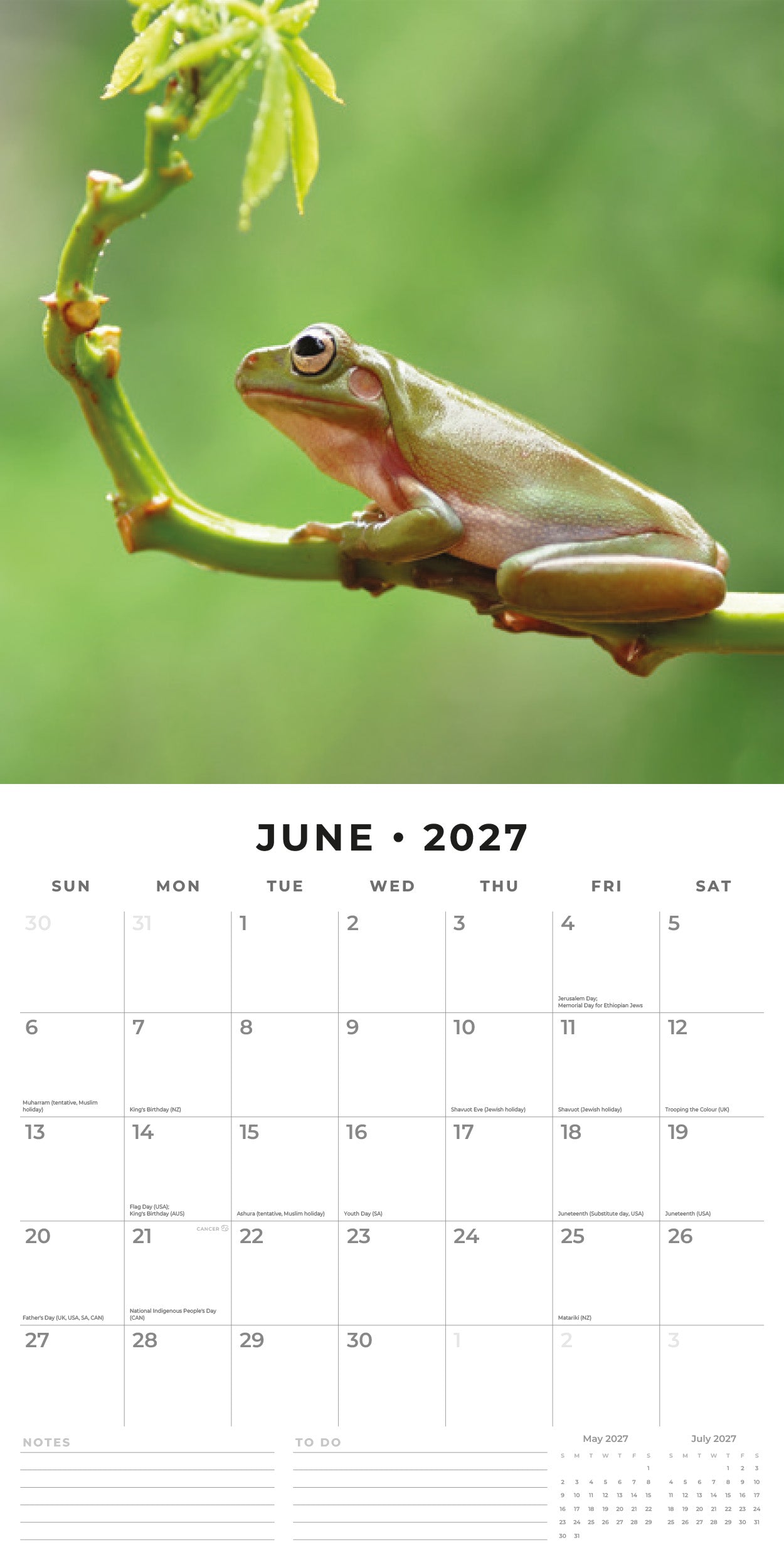 2027 Frogs - Square Wall Calendar
