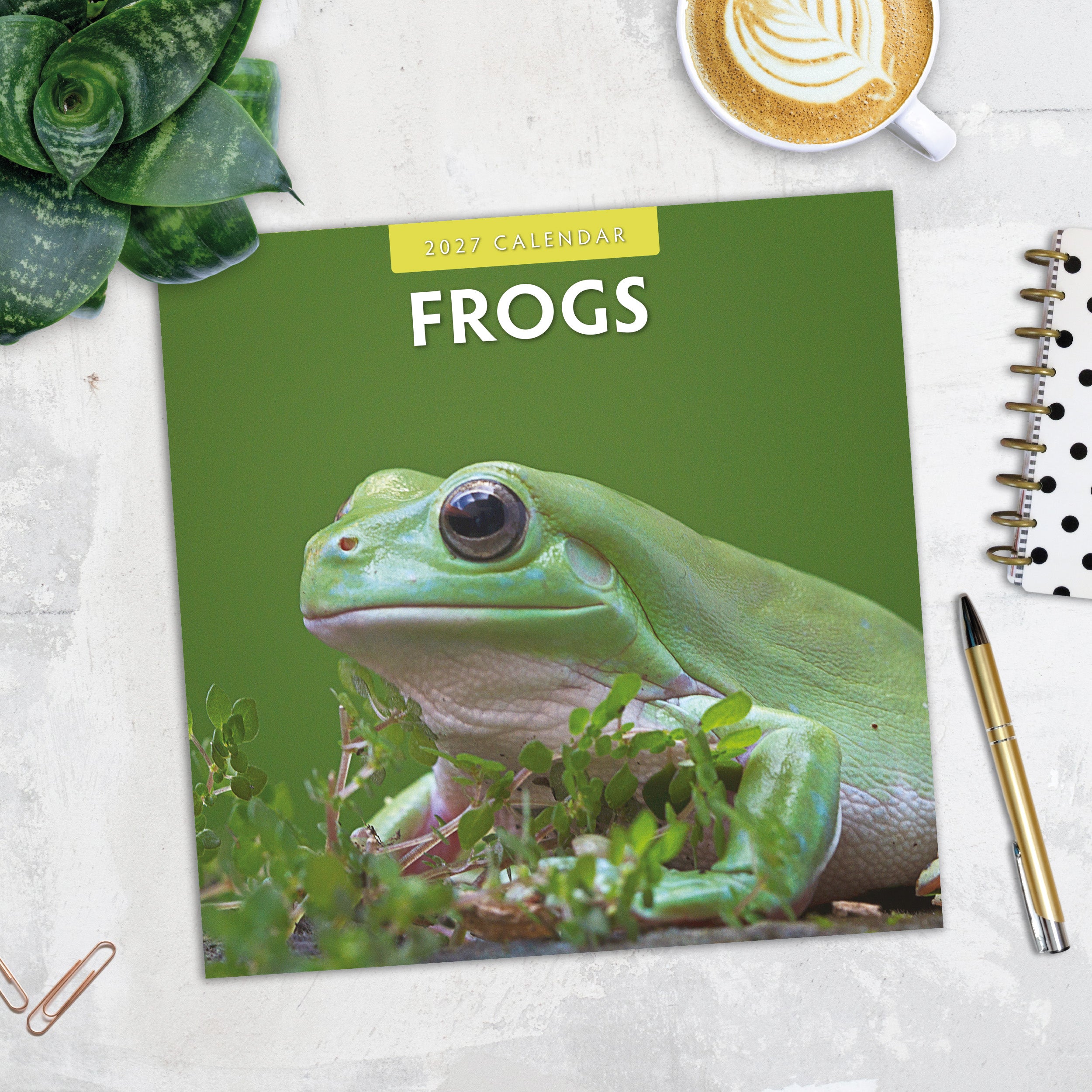 2027 Frogs - Square Wall Calendar