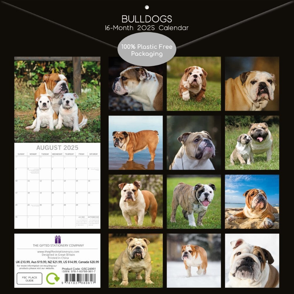 2025 Bulldogs - Square Wall Calendar