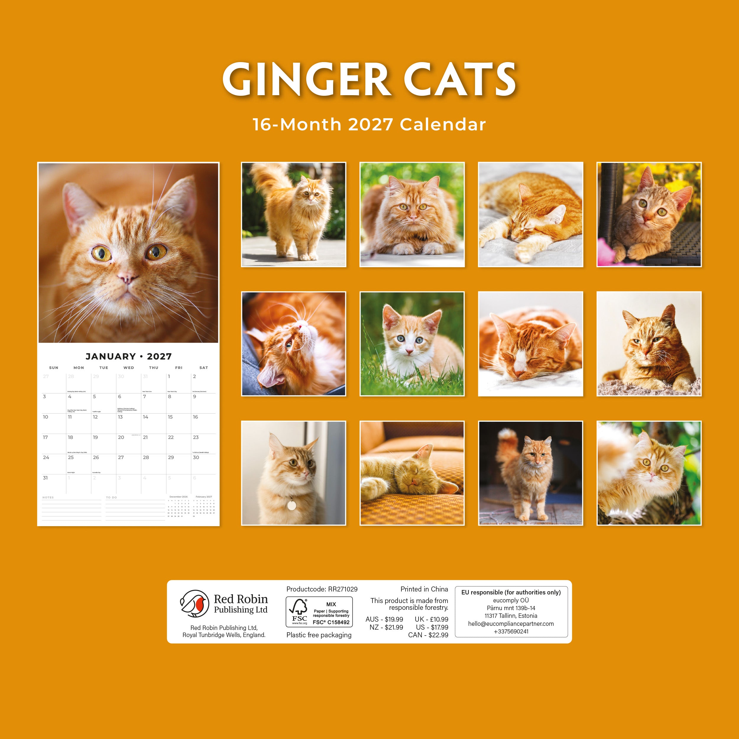 2027 Ginger Cats - Square Wall Calendar