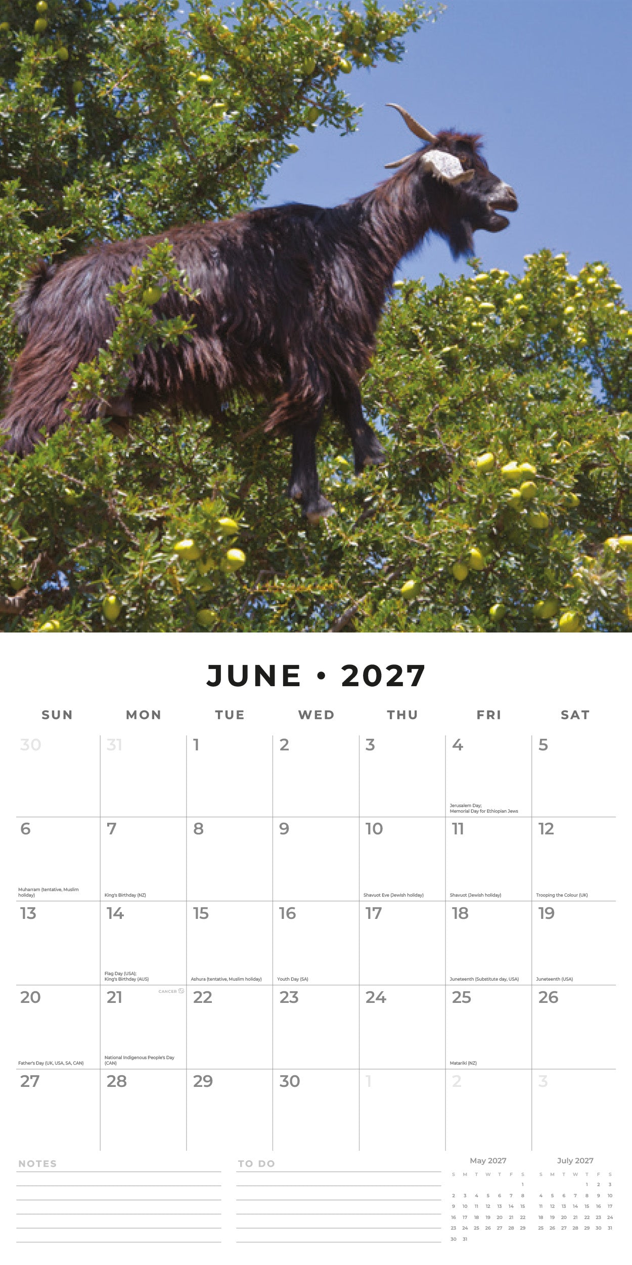 2027 Goats in Trees - Square Wall Calendar