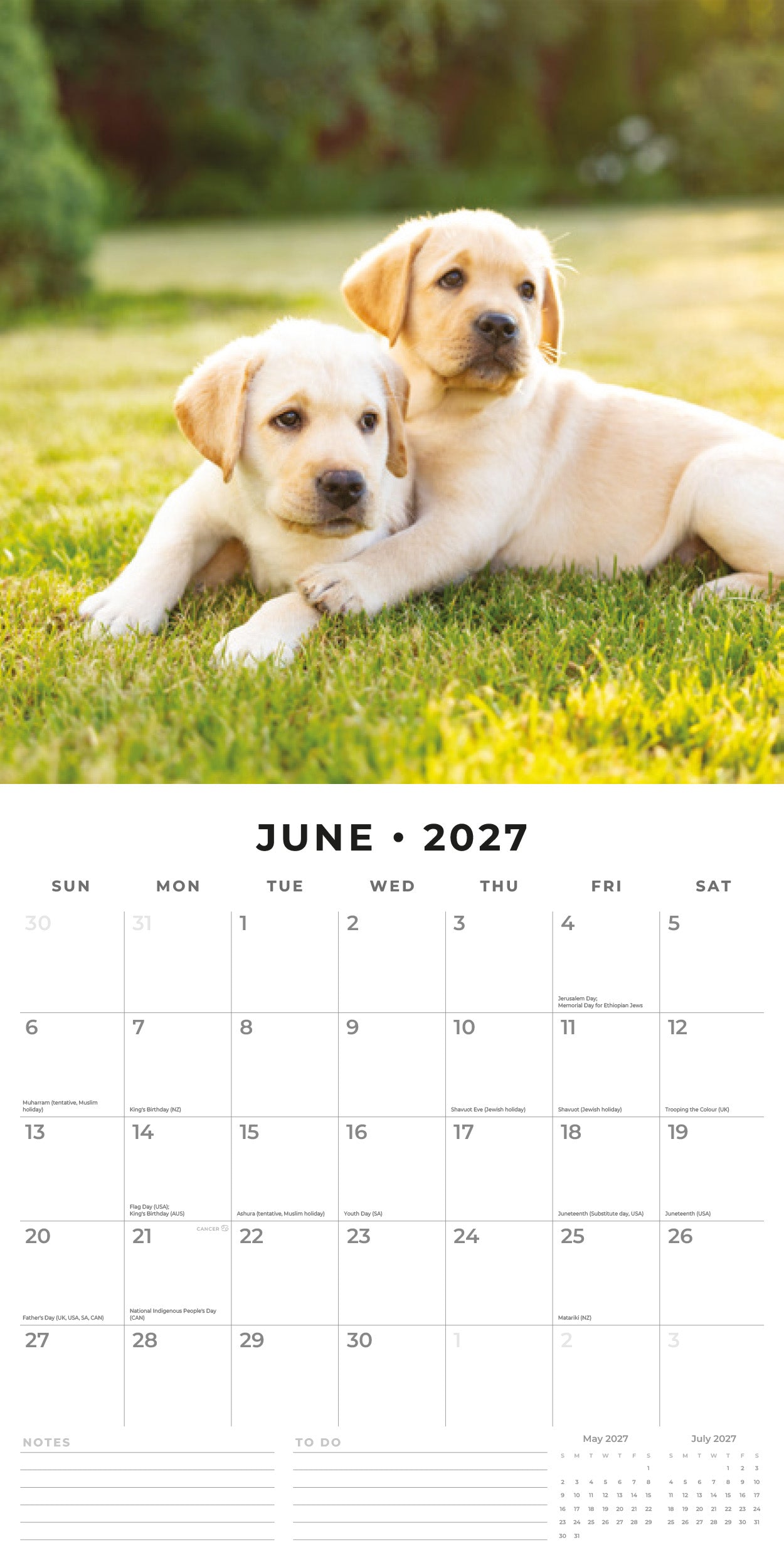 2027 Golden Retriever Puppies - Square Wall Calendar