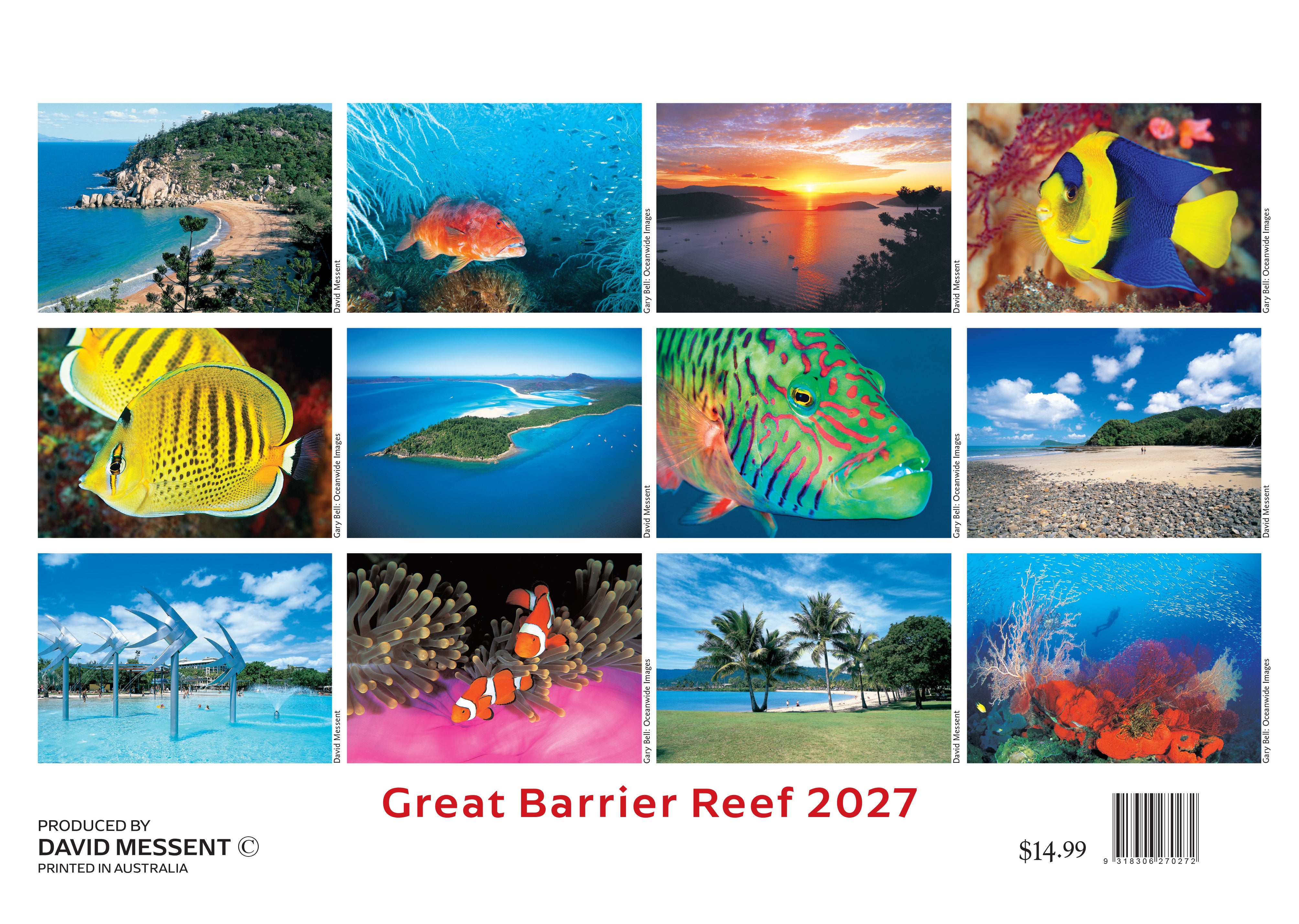 GreatBarrierReef_Back_9318306270272.jpg