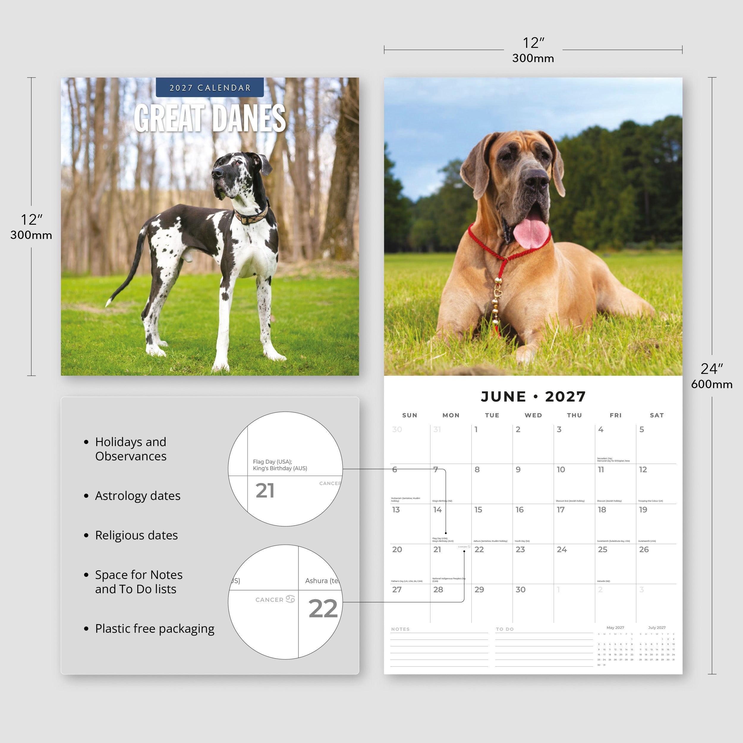 2027 Great Danes - Square Wall Calendar