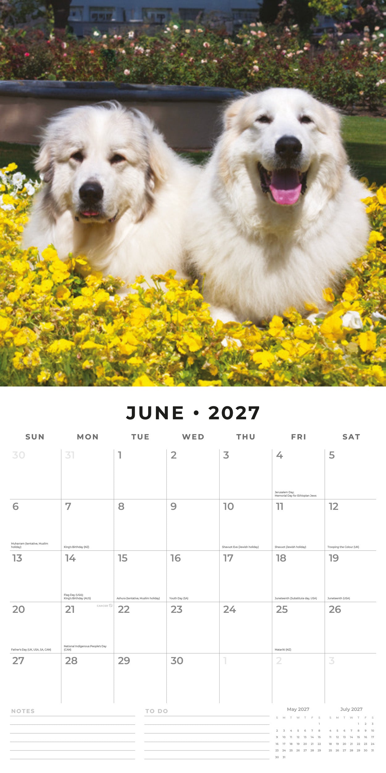 2027 Great Pyrenees - Square Wall Calendar
