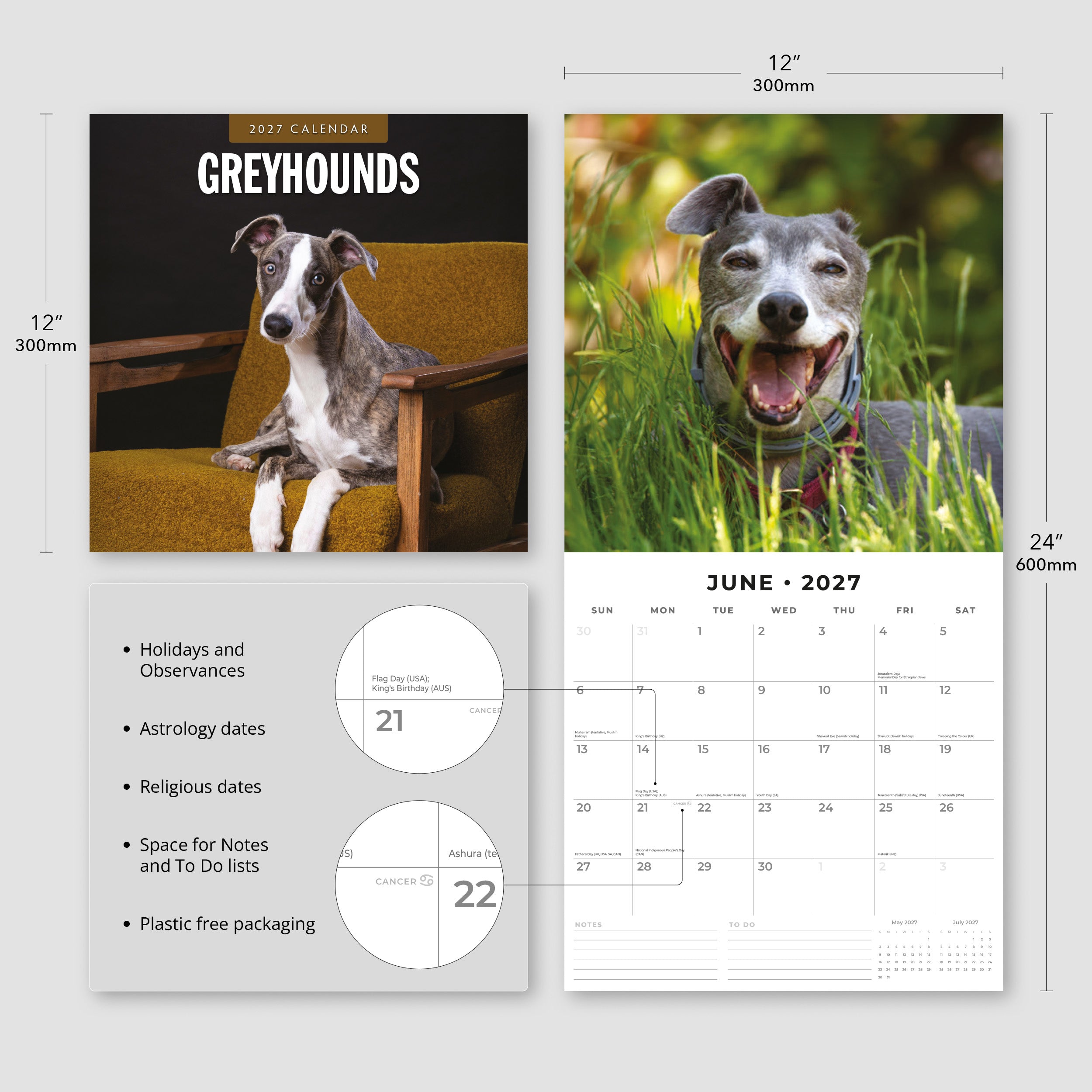 2027 Greyhounds - Square Wall Calendar