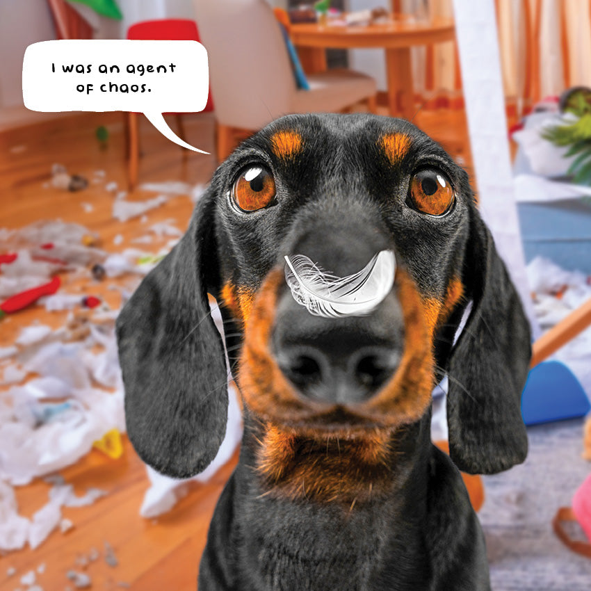 2027 Guilty Dogs - Square Wall Calendar