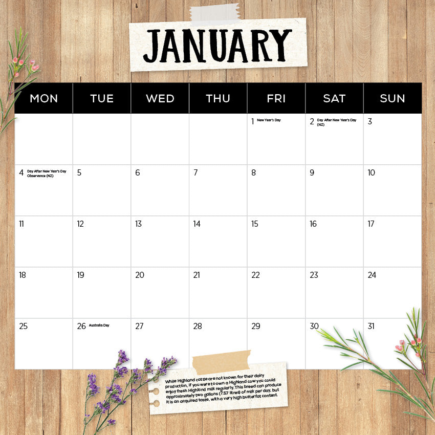 2027 Highland Cows - Square Wall Calendar