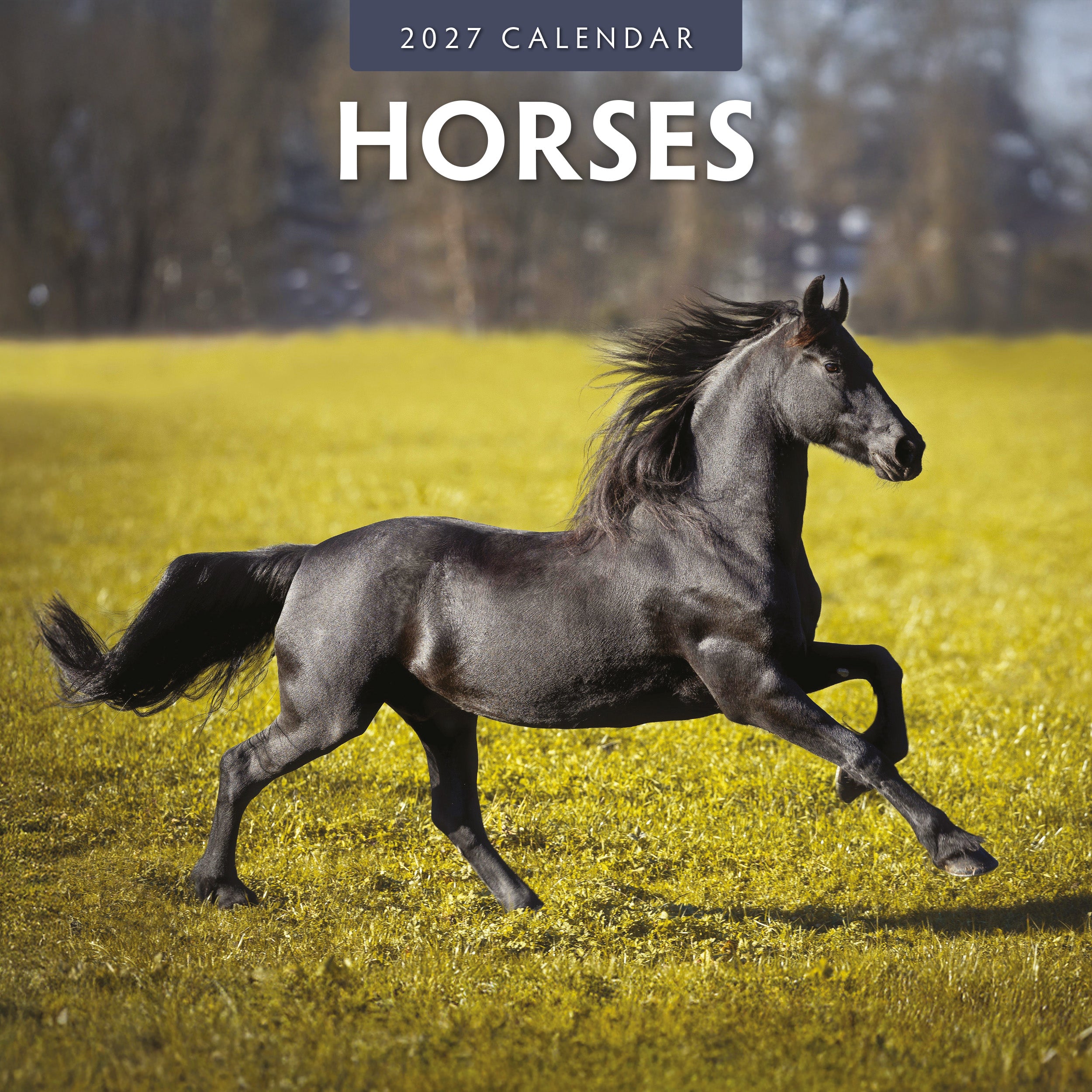 2027 Horses - Square Wall Calendar