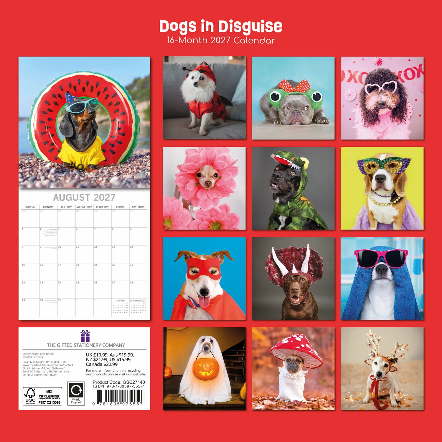 Humour_Dogs_in_Disguise_2027_Back.jpg