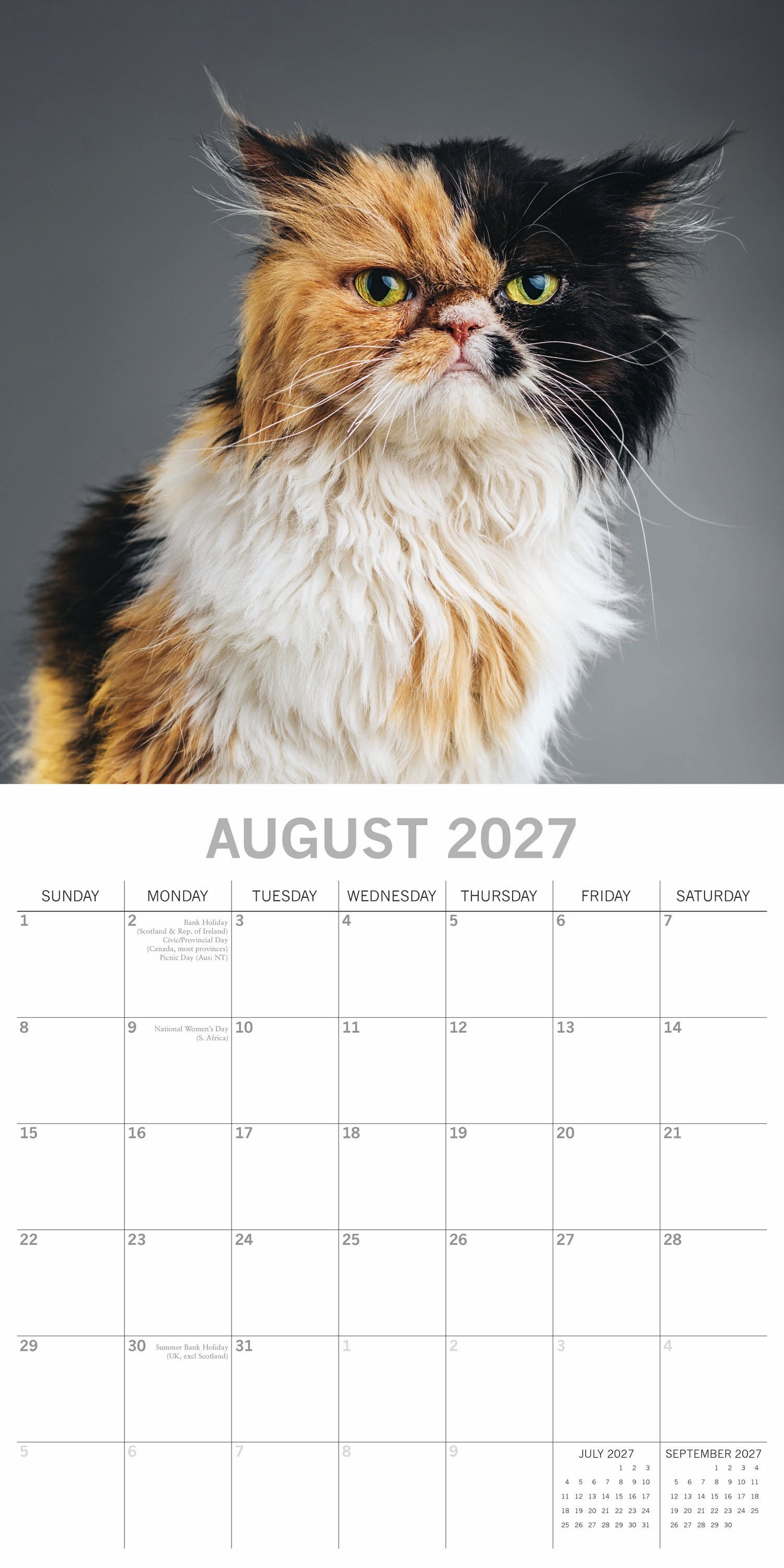 Humour_Grumpy_Cats_2027_Aug.jpg