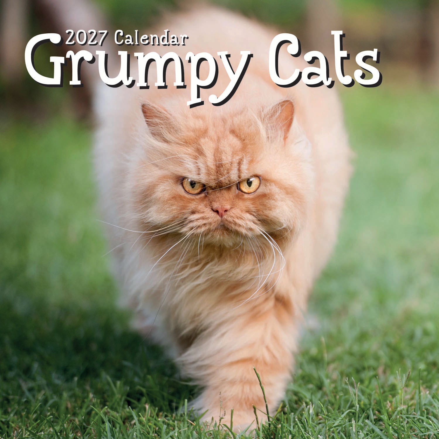 Humour_Grumpy_Cats_2027_Cover.jpg