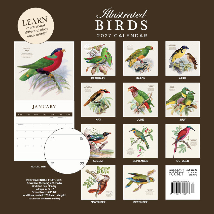 2027 Illustrated Birds   - Square Wall Calendar