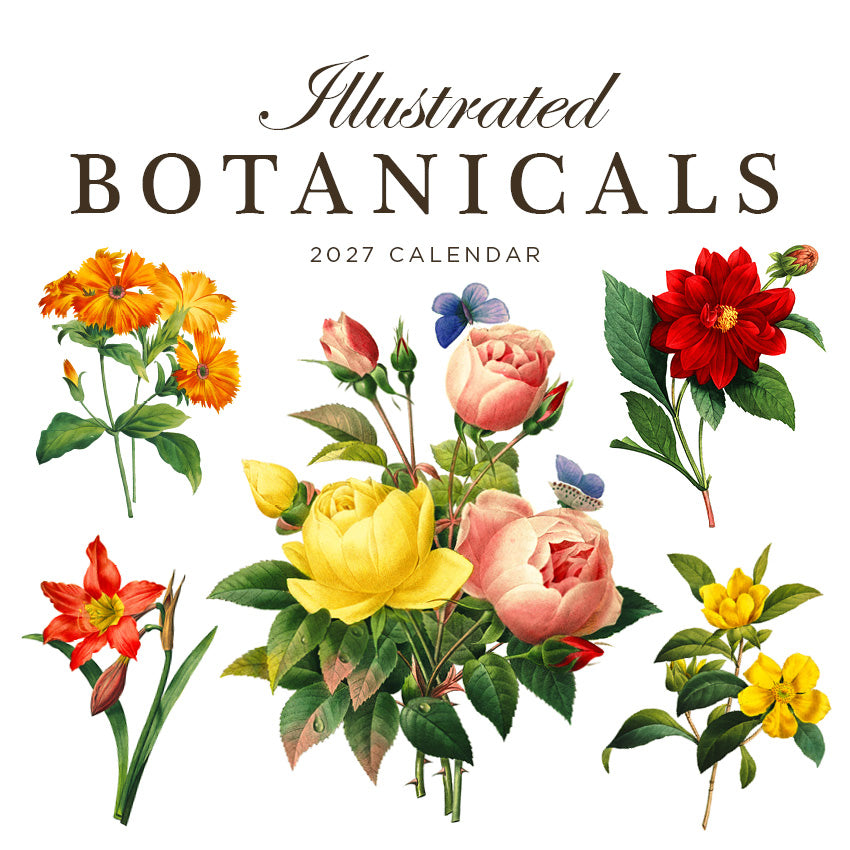 2027 Illustrated Botanicals - Square Wall Calendar