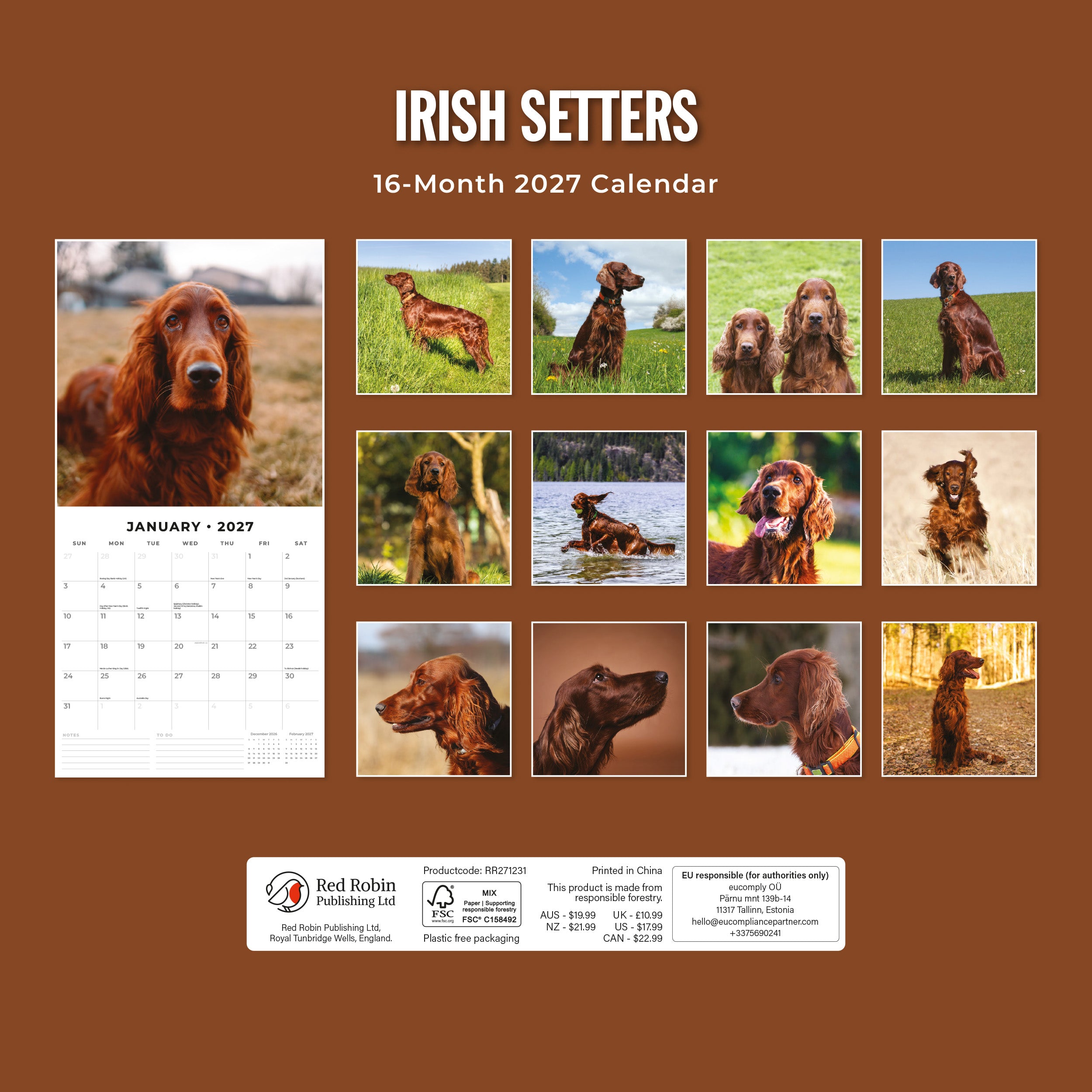 2027 Irish Setters - Square Wall Calendar