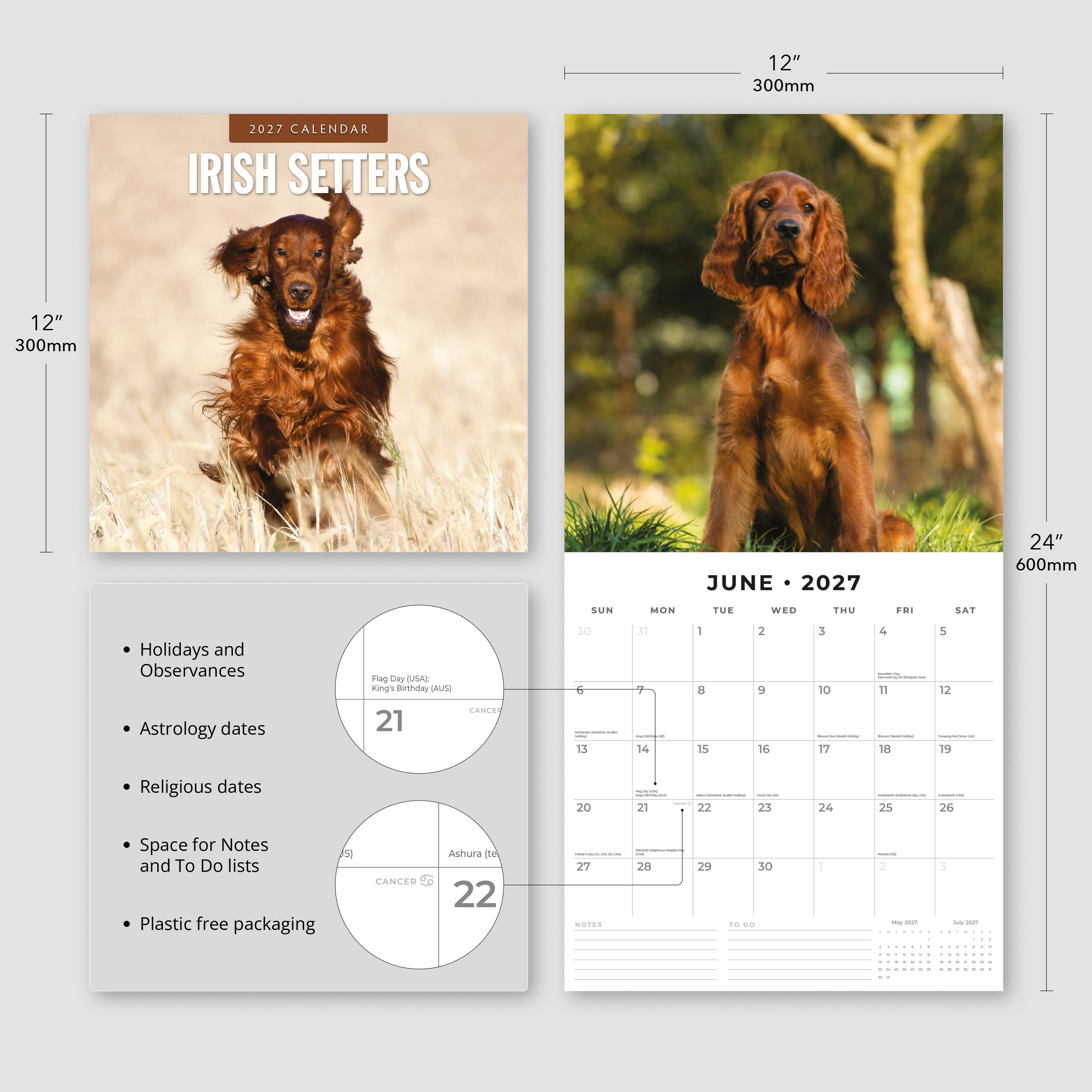 2027 Irish Setters - Square Wall Calendar