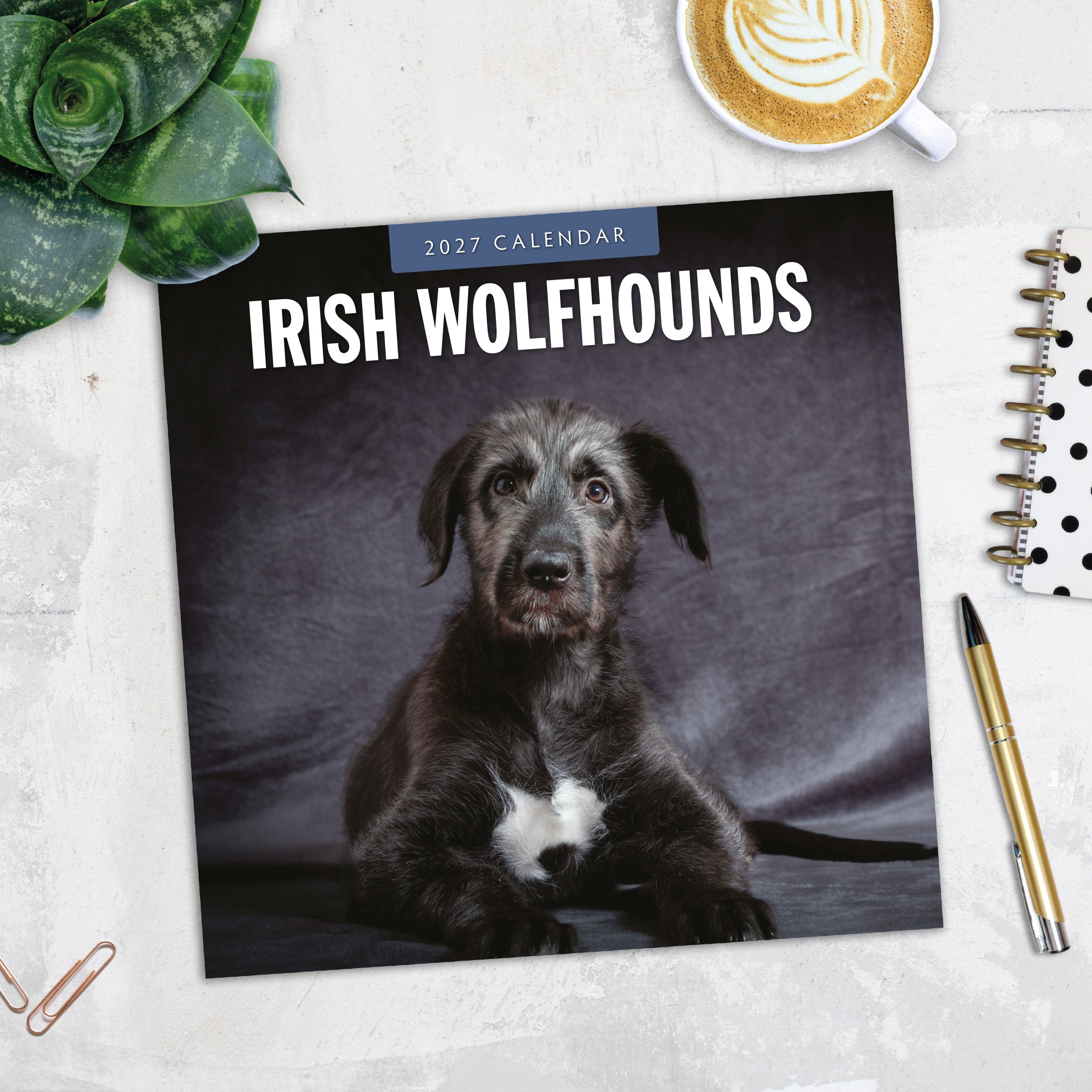 2027 Irish Wolf Hounds - Square Wall Calendar
