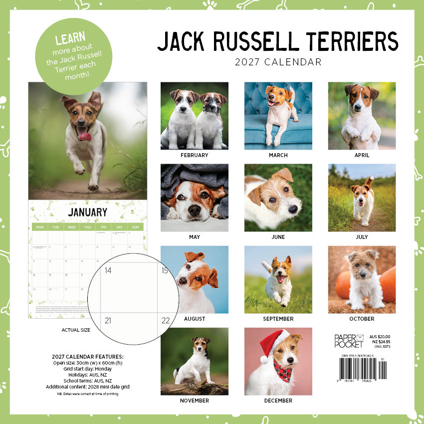 2027 Jack Russel Terrier - Square Wall Calendar