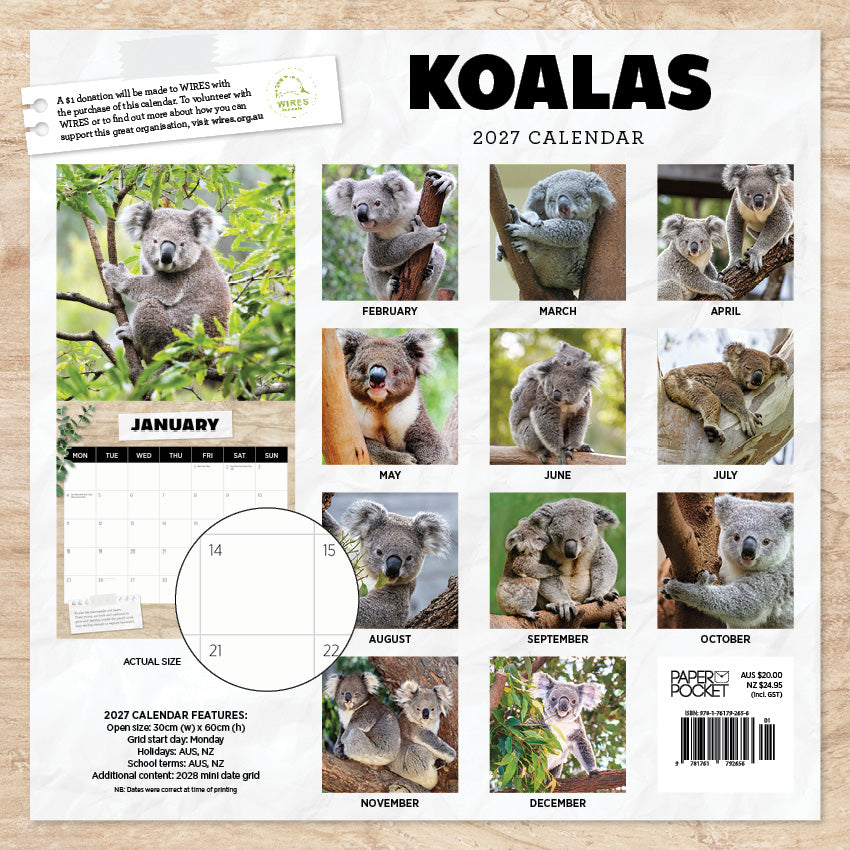 2027 Koalas - Square Wall Calendar