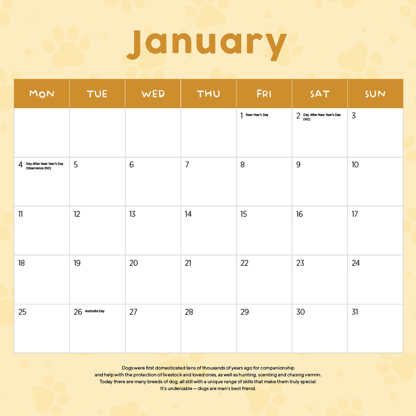 2027 Labradoodles  - Square Wall Calendar