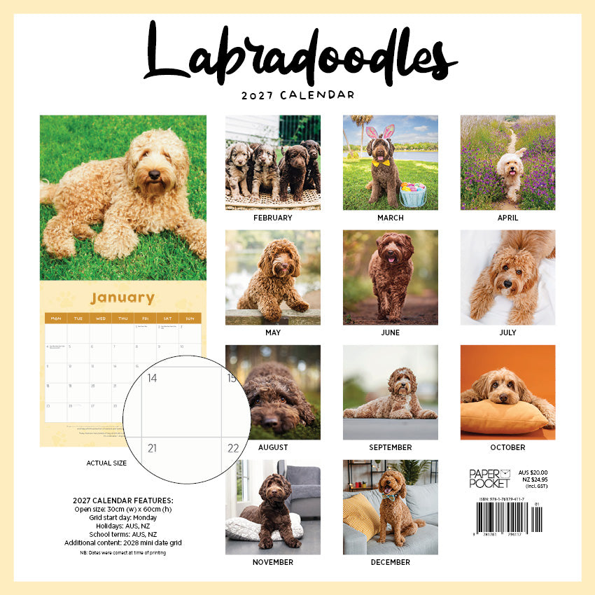 2027 Labradoodles  - Square Wall Calendar