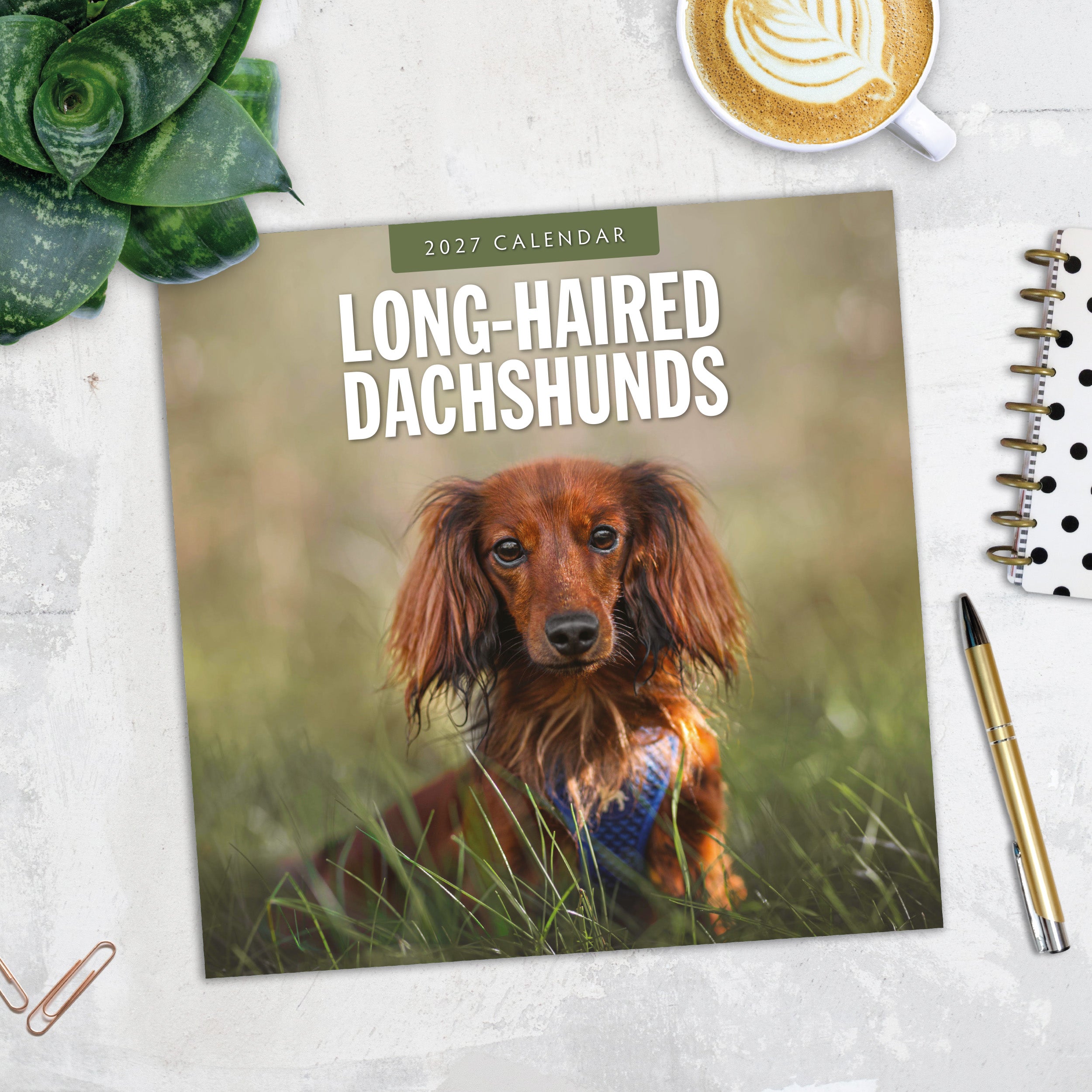2027 Long-haired Dachshunds - Square Wall Calendar