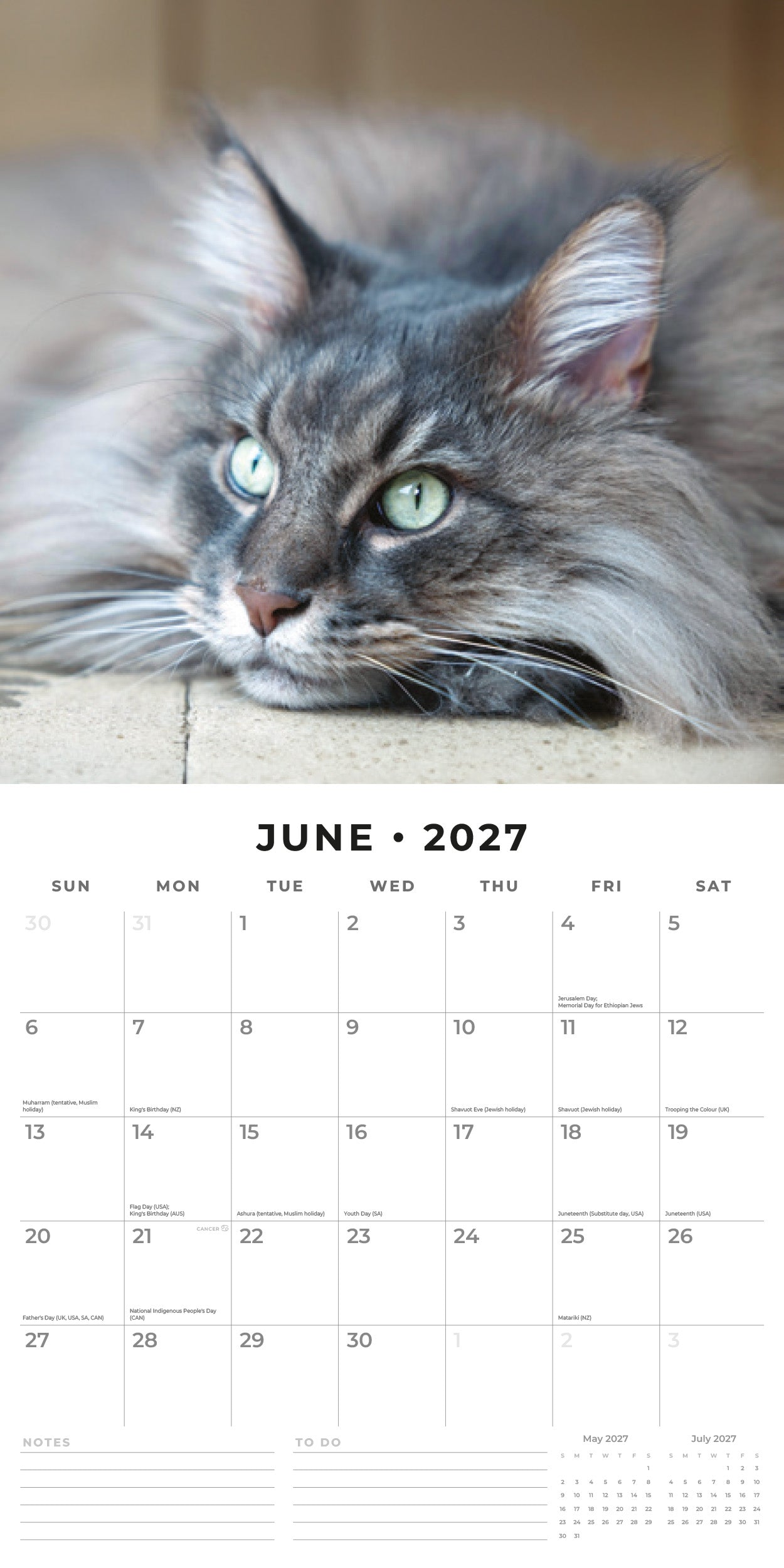 2027 Maine Coon Cats - Square Wall Calendar